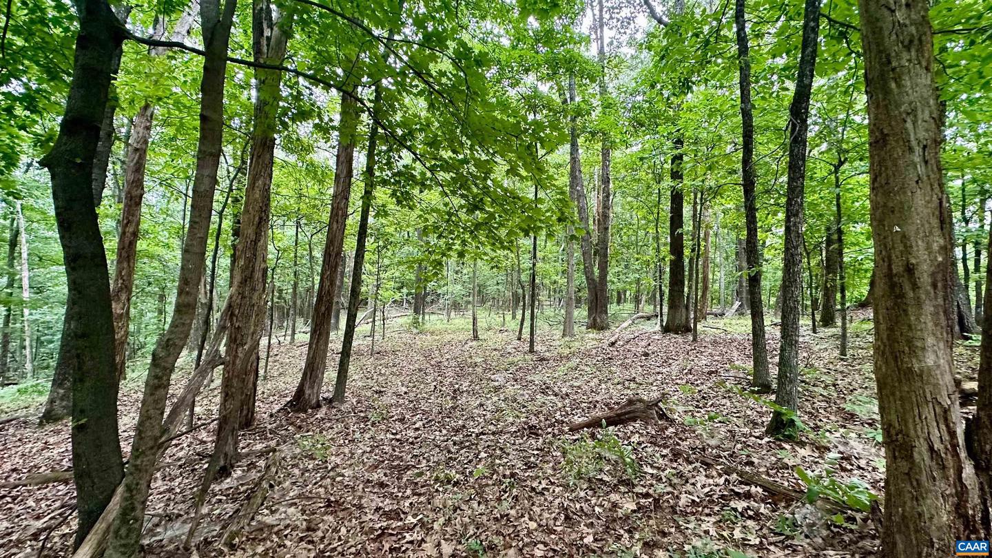 TROXEL GAP RD, MIDDLEBROOK, Virginia 24459, ,Farm,For Sale,TROXEL GAP RD,654675 MLS # 654675 TROXEL GAP RD, MIDDLEBROOK, Virginia 24459, ,Farm,For Sale,TROXEL GAP RD,654675 MLS # 654675