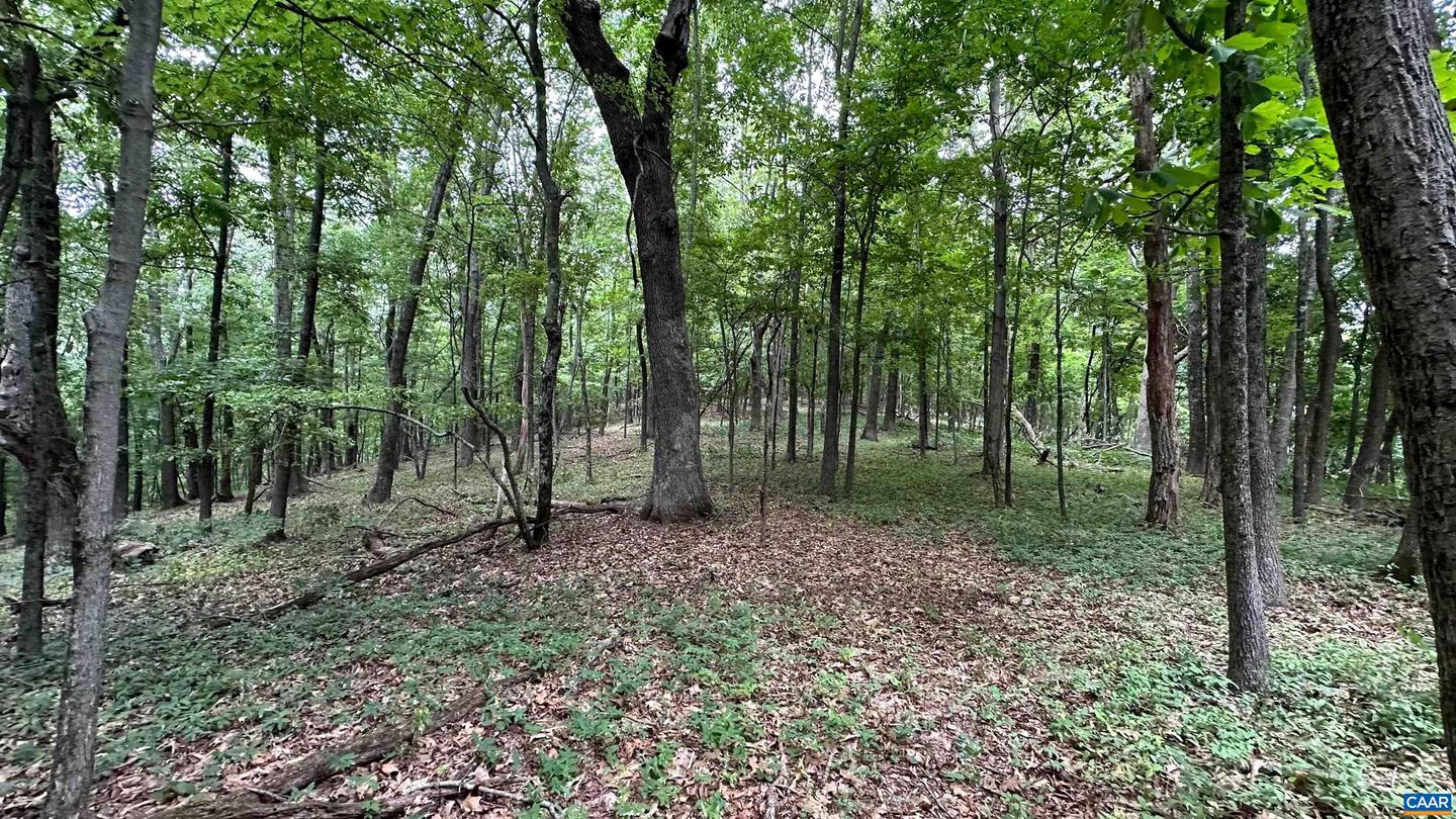 TROXEL GAP RD, MIDDLEBROOK, Virginia 24459, ,Farm,For Sale,TROXEL GAP RD,654675 MLS # 654675 TROXEL GAP RD, MIDDLEBROOK, Virginia 24459, ,Farm,For Sale,TROXEL GAP RD,654675 MLS # 654675