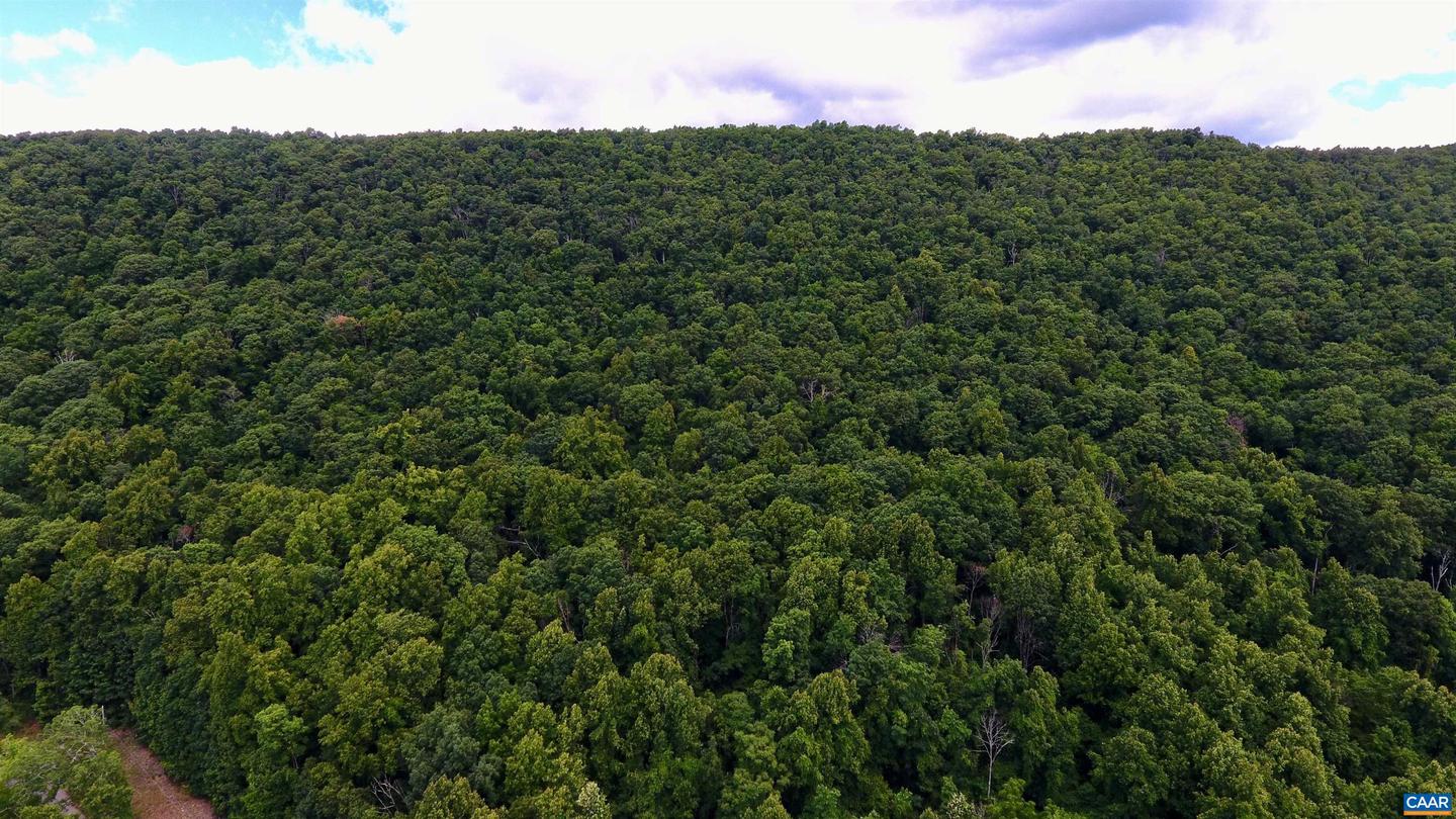 TROXEL GAP RD, MIDDLEBROOK, Virginia 24459, ,Farm,For Sale,TROXEL GAP RD,654675 MLS # 654675 TROXEL GAP RD, MIDDLEBROOK, Virginia 24459, ,Farm,For Sale,TROXEL GAP RD,654675 MLS # 654675