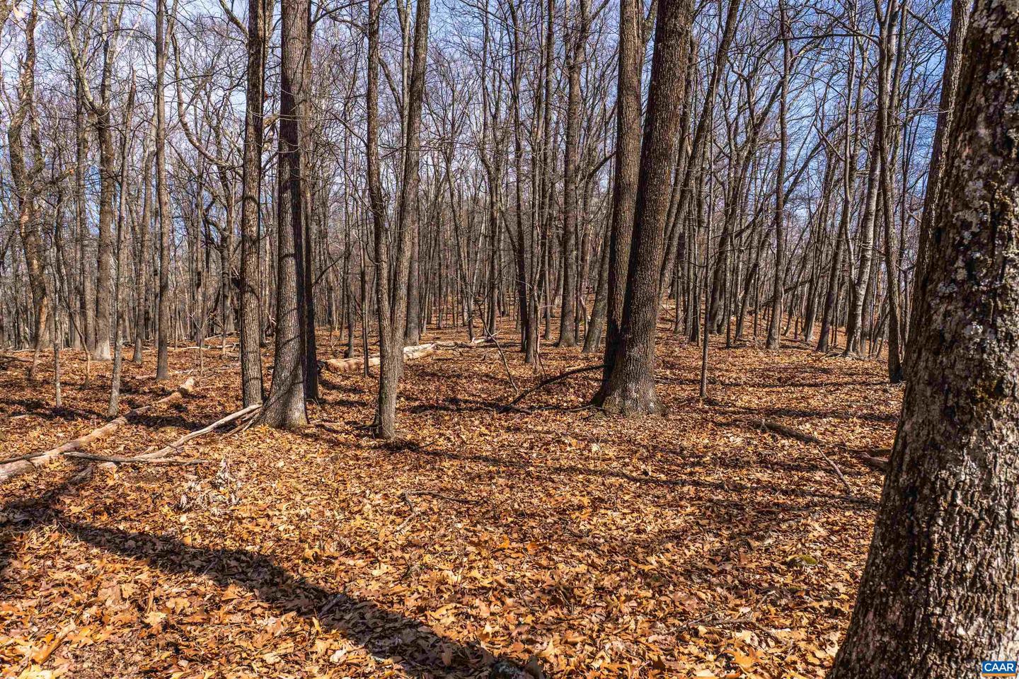 TROXEL GAP RD, MIDDLEBROOK, Virginia 24459, ,Farm,For Sale,TROXEL GAP RD,654675 MLS # 654675 TROXEL GAP RD, MIDDLEBROOK, Virginia 24459, ,Farm,For Sale,TROXEL GAP RD,654675 MLS # 654675