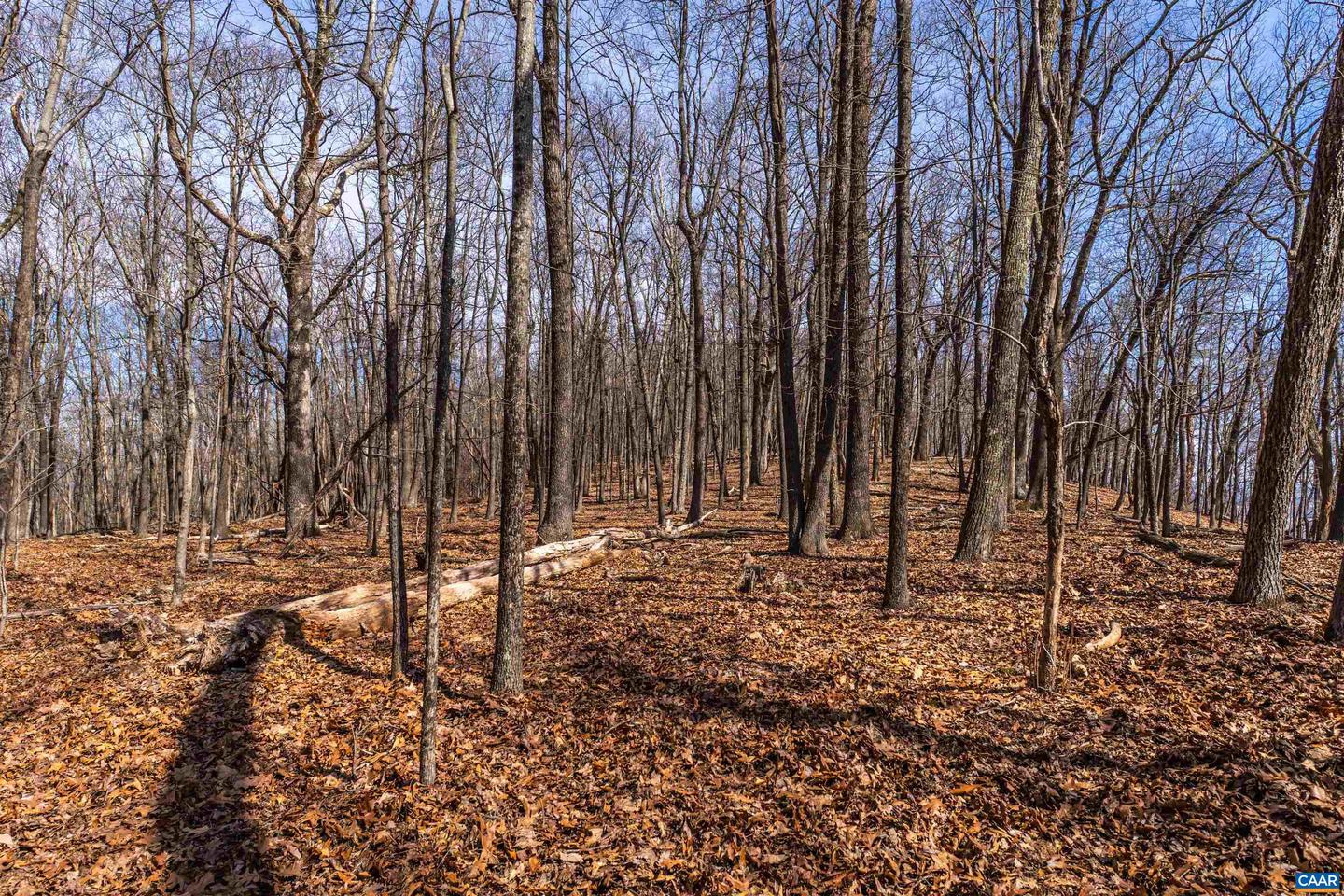 TROXEL GAP RD, MIDDLEBROOK, Virginia 24459, ,Farm,For Sale,TROXEL GAP RD,654675 MLS # 654675 TROXEL GAP RD, MIDDLEBROOK, Virginia 24459, ,Farm,For Sale,TROXEL GAP RD,654675 MLS # 654675