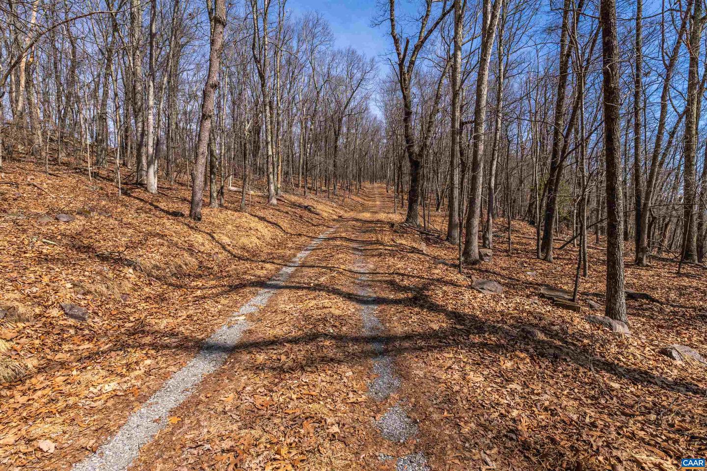 TROXEL GAP RD, MIDDLEBROOK, Virginia 24459, ,Farm,For Sale,TROXEL GAP RD,654675 MLS # 654675 TROXEL GAP RD, MIDDLEBROOK, Virginia 24459, ,Farm,For Sale,TROXEL GAP RD,654675 MLS # 654675