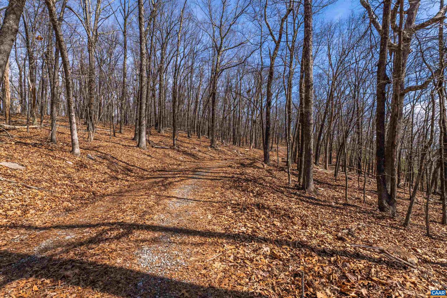 TROXEL GAP RD, MIDDLEBROOK, Virginia 24459, ,Farm,For Sale,TROXEL GAP RD,654675 MLS # 654675 TROXEL GAP RD, MIDDLEBROOK, Virginia 24459, ,Farm,For Sale,TROXEL GAP RD,654675 MLS # 654675