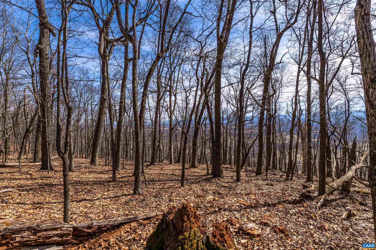 TROXEL GAP RD, MIDDLEBROOK, Virginia 24459, ,Farm,For Sale,TROXEL GAP RD,654675 MLS # 654675 TROXEL GAP RD, MIDDLEBROOK, Virginia 24459, ,Farm,For Sale,TROXEL GAP RD,654675 MLS # 654675