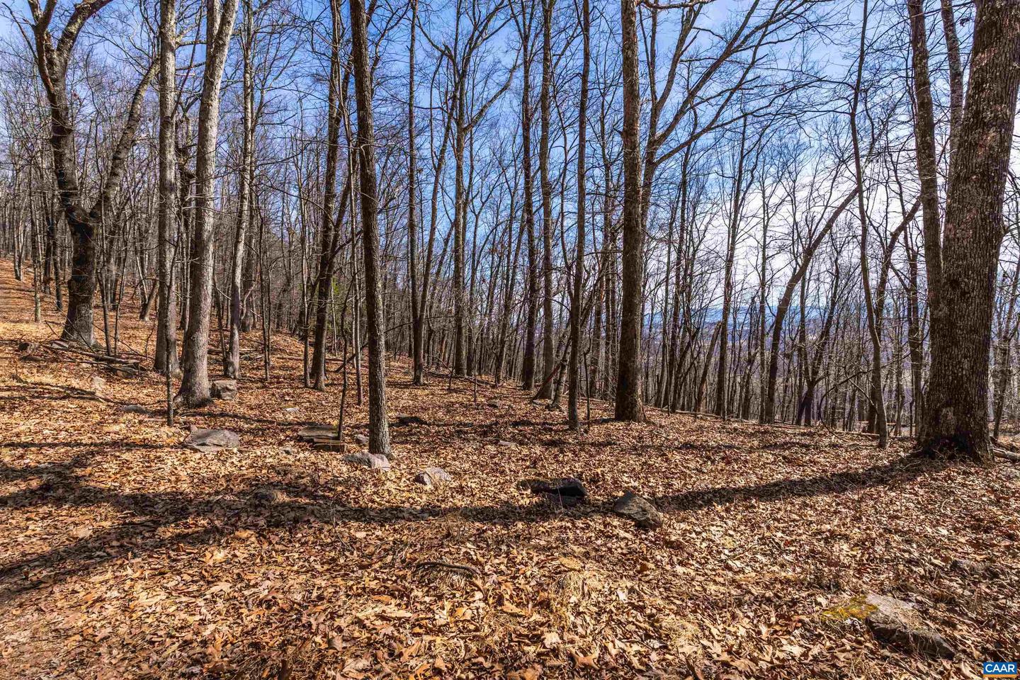 TROXEL GAP RD, MIDDLEBROOK, Virginia 24459, ,Farm,For Sale,TROXEL GAP RD,654675 MLS # 654675 TROXEL GAP RD, MIDDLEBROOK, Virginia 24459, ,Farm,For Sale,TROXEL GAP RD,654675 MLS # 654675