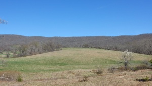 tbd SAM SNEAD HWY, WARM SPRINGS, Virginia 24484, ,Land,14,tbd SAM SNEAD HWY,640483 MLS # 640483