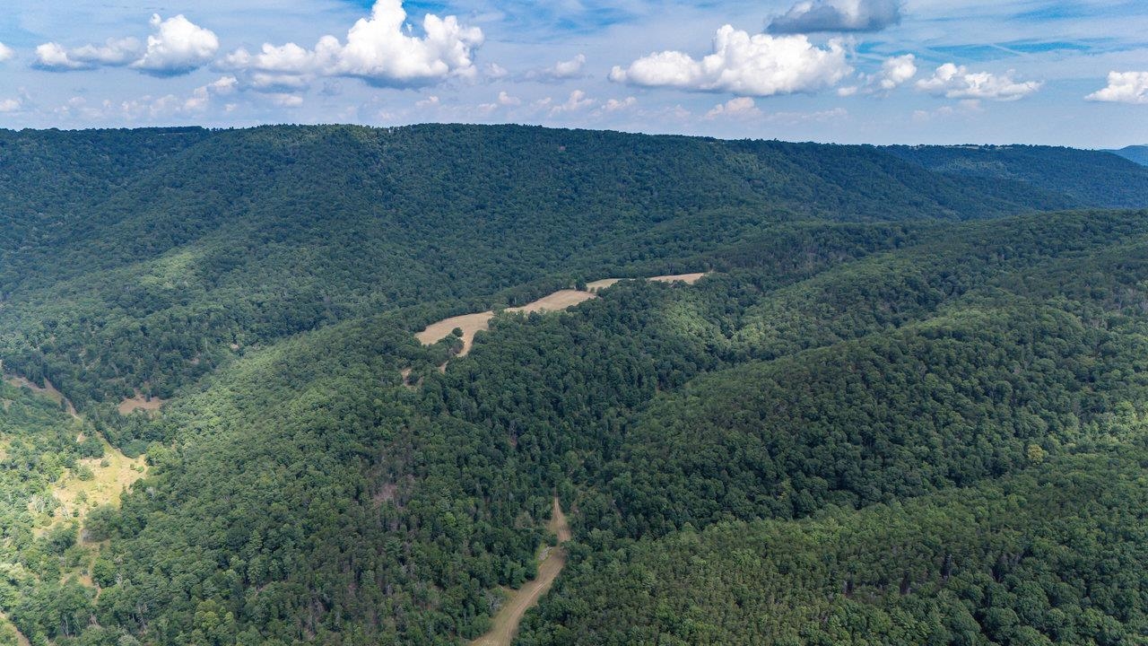 22590 CRIDERS RD, CRIDERS, Virginia 22820, ,Farm,14,22590 CRIDERS RD,654880 MLS # 654880