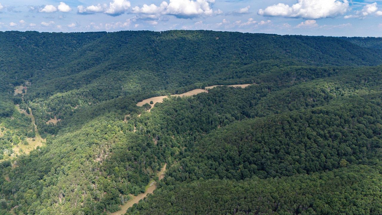 22590 CRIDERS RD, CRIDERS, Virginia 22820, ,Farm,14,22590 CRIDERS RD,654880 MLS # 654880