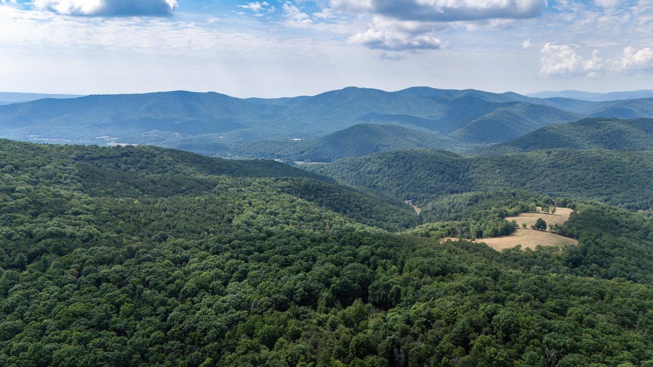 22590 CRIDERS RD, CRIDERS, Virginia 22820, ,Farm,14,22590 CRIDERS RD,654880 MLS # 654880