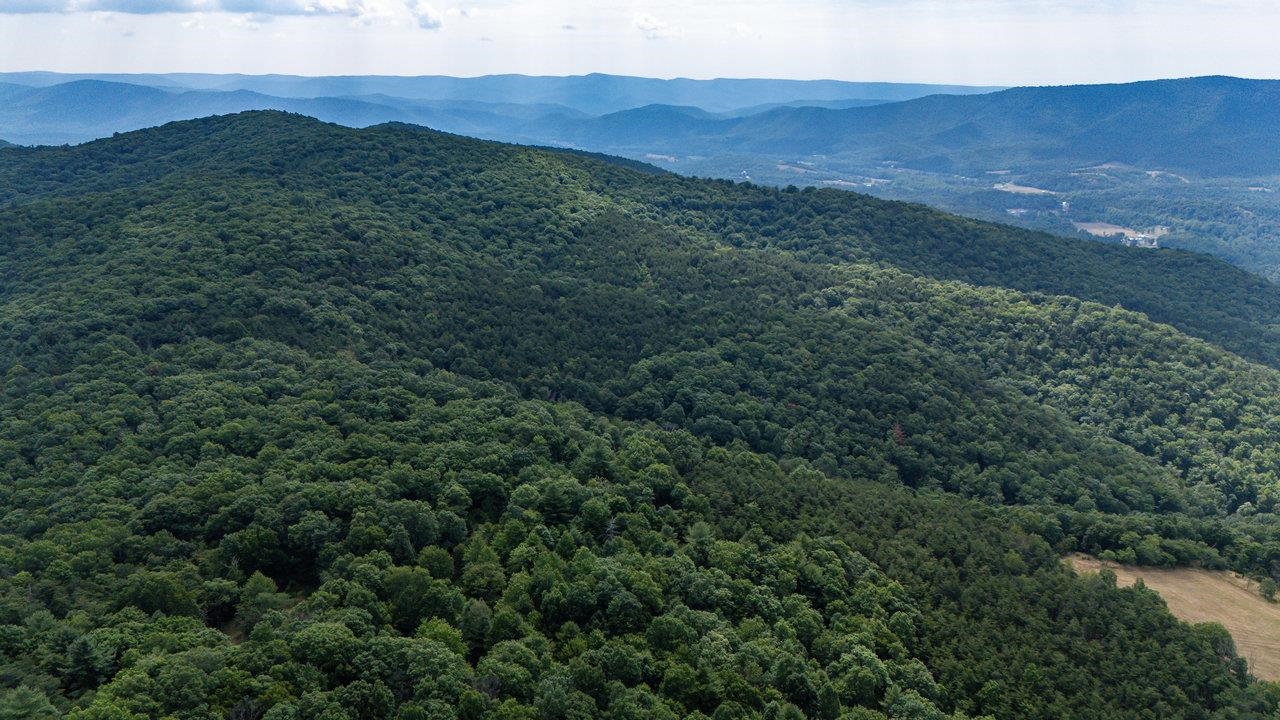 22590 CRIDERS RD, CRIDERS, Virginia 22820, ,Farm,14,22590 CRIDERS RD,654880 MLS # 654880