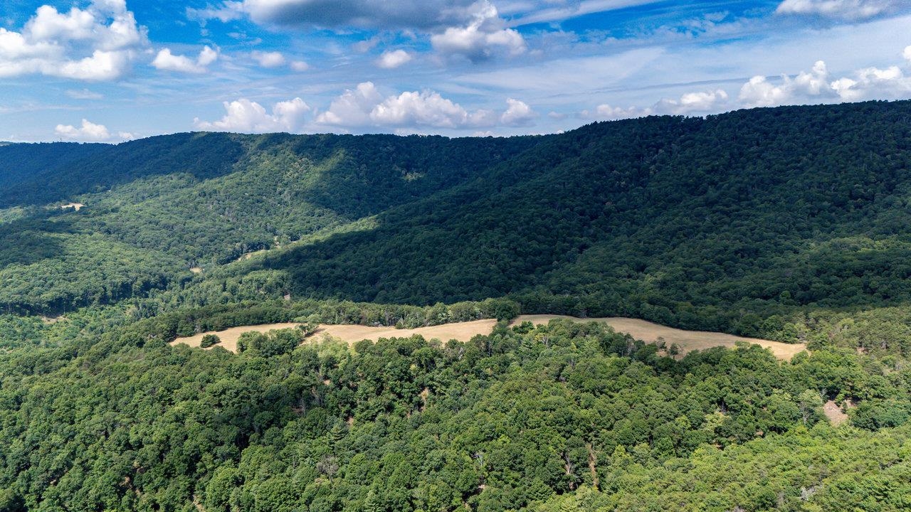 22590 CRIDERS RD, CRIDERS, Virginia 22820, ,Farm,14,22590 CRIDERS RD,654880 MLS # 654880