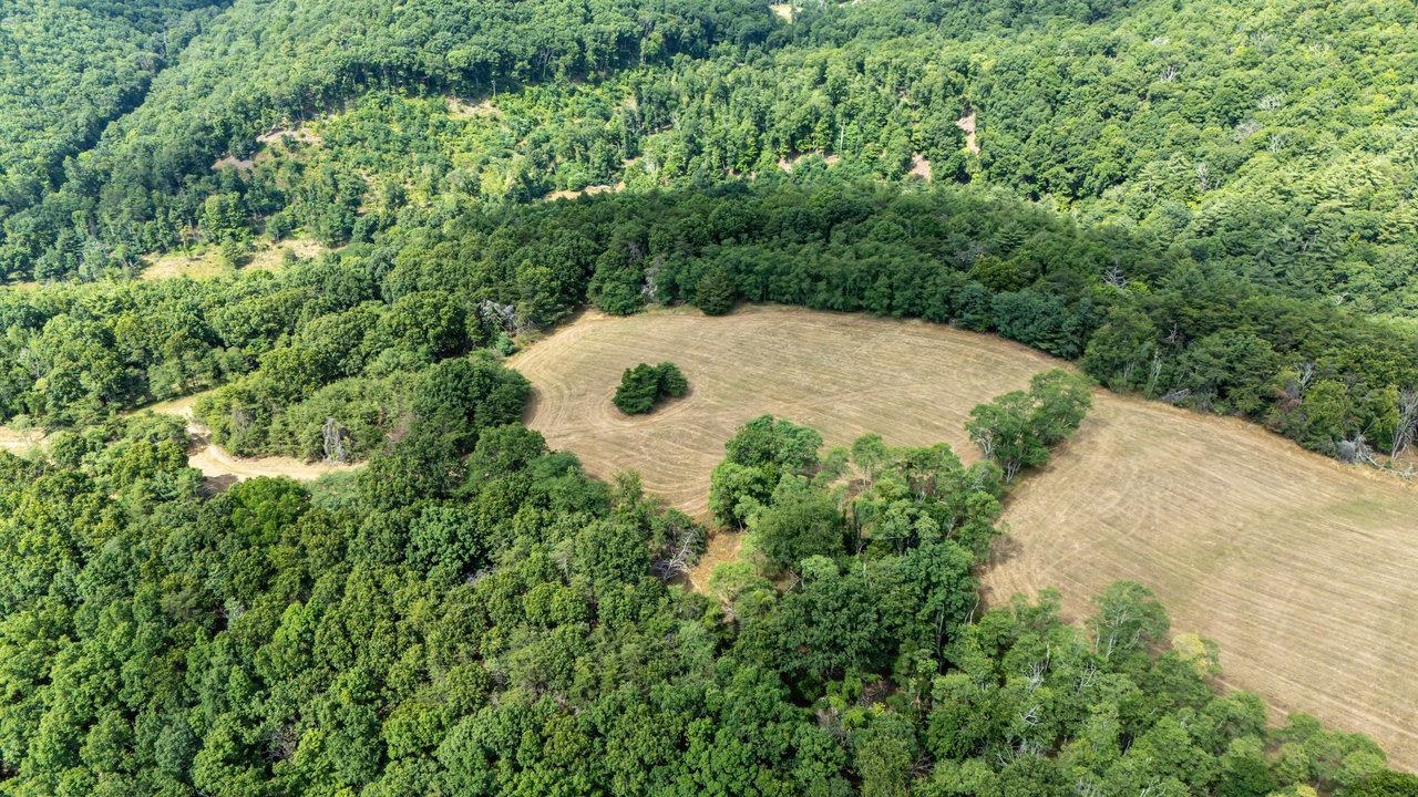 22590 CRIDERS RD, CRIDERS, Virginia 22820, ,Farm,14,22590 CRIDERS RD,654880 MLS # 654880