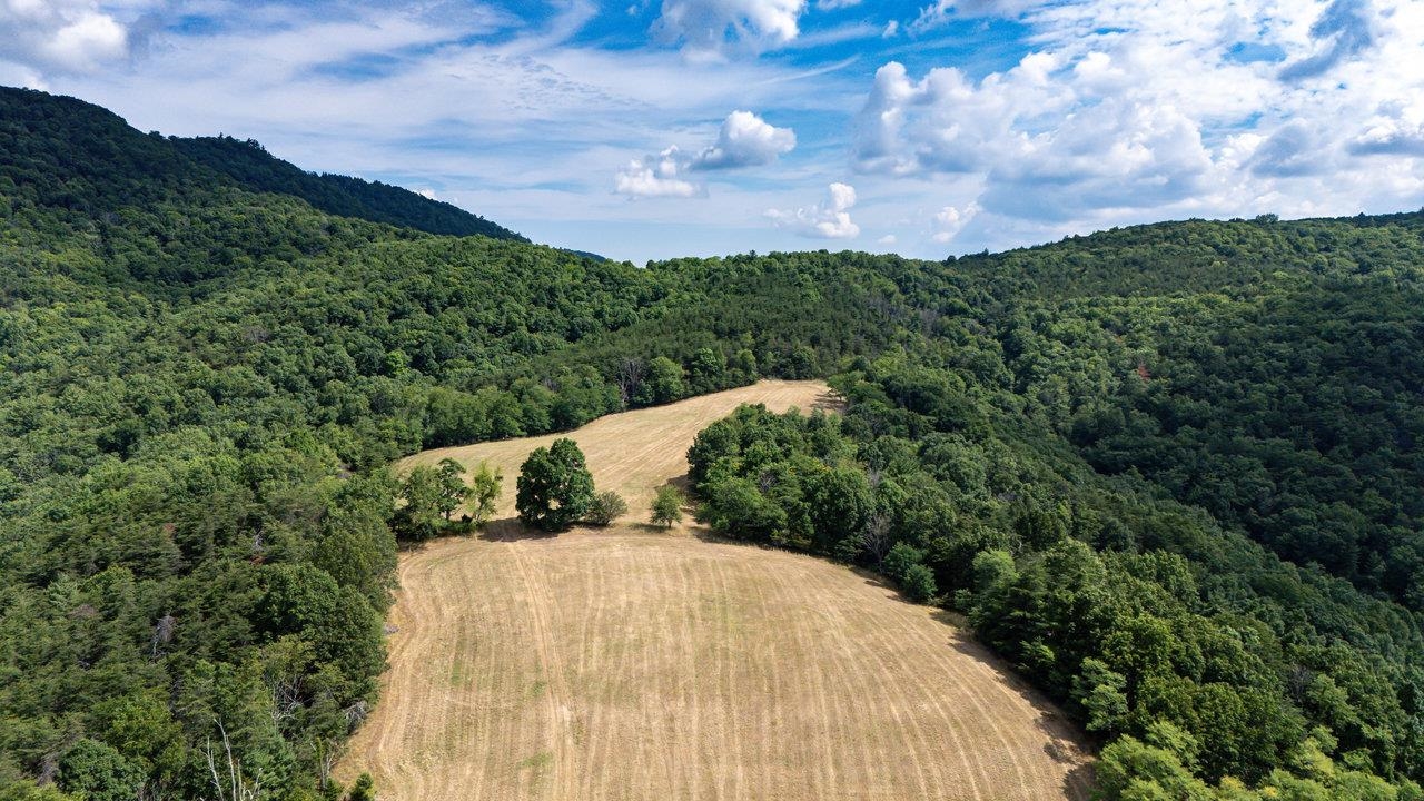 22590 CRIDERS RD, CRIDERS, Virginia 22820, ,Farm,14,22590 CRIDERS RD,654880 MLS # 654880