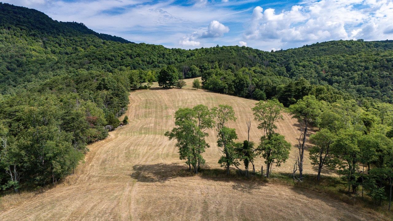 22590 CRIDERS RD, CRIDERS, Virginia 22820, ,Farm,14,22590 CRIDERS RD,654880 MLS # 654880