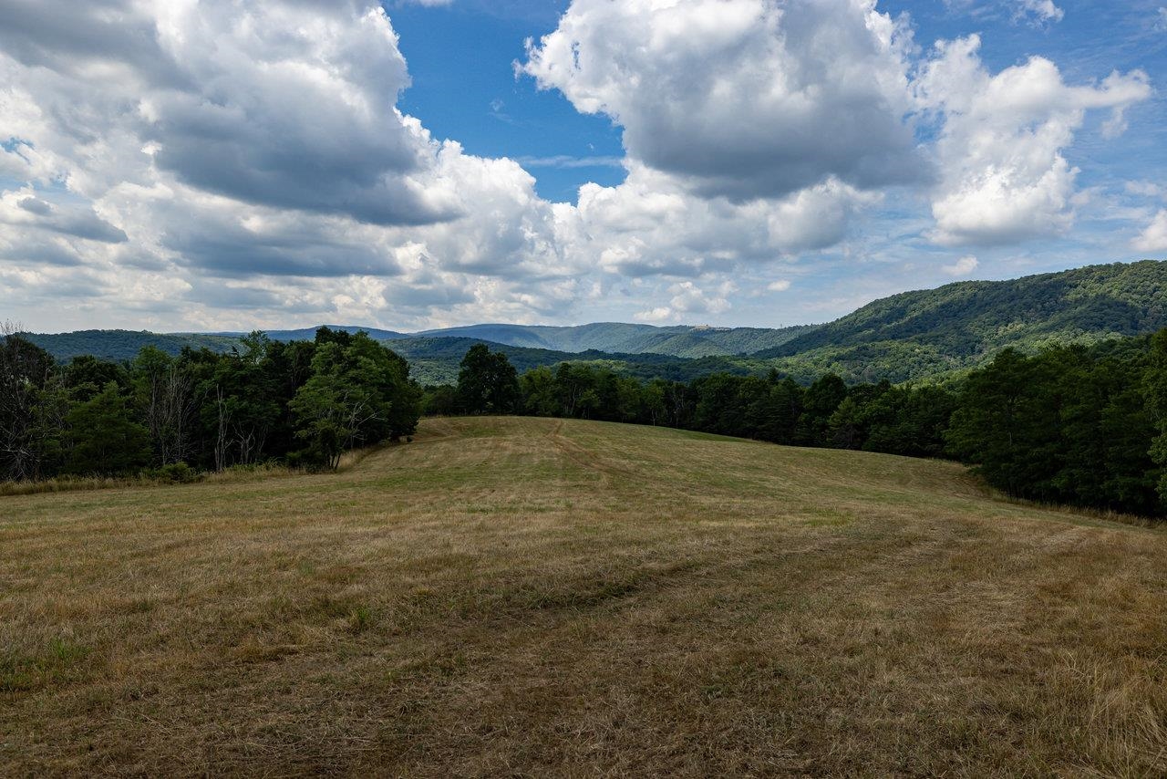 22590 CRIDERS RD, CRIDERS, Virginia 22820, ,Farm,14,22590 CRIDERS RD,654880 MLS # 654880