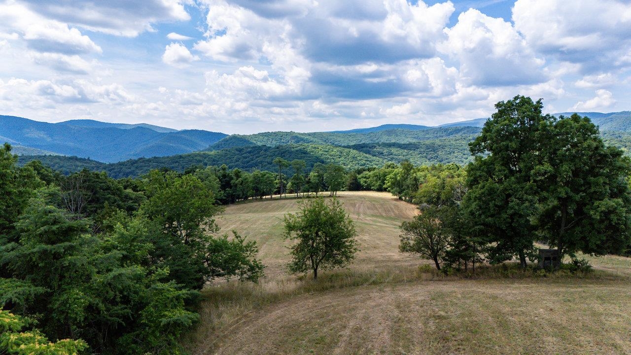 22590 CRIDERS RD, CRIDERS, Virginia 22820, ,Farm,14,22590 CRIDERS RD,654880 MLS # 654880