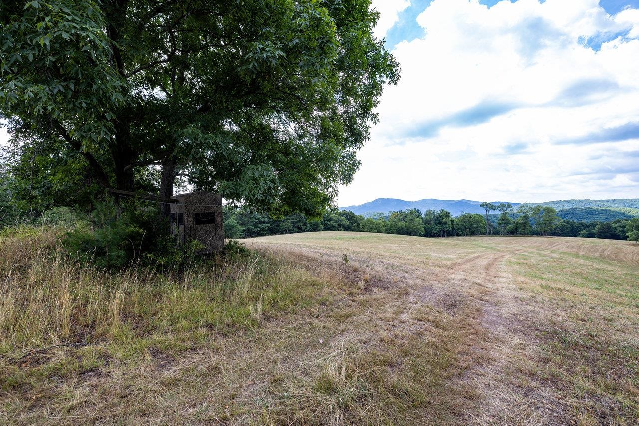 22590 CRIDERS RD, CRIDERS, Virginia 22820, ,Farm,14,22590 CRIDERS RD,654880 MLS # 654880