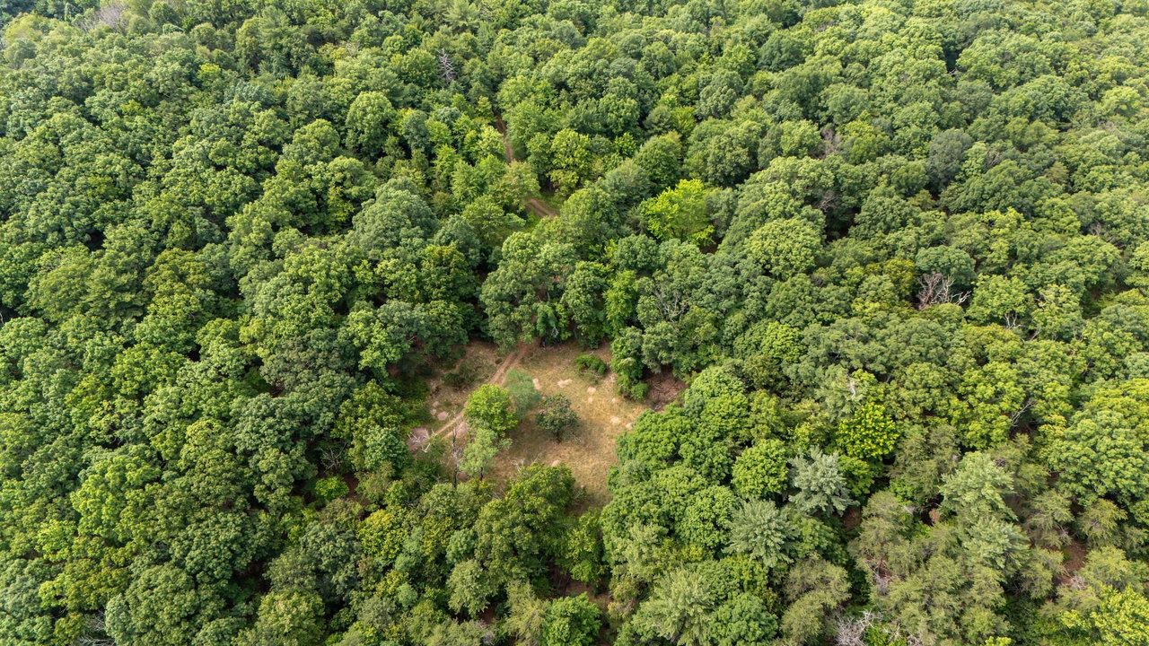 22590 CRIDERS RD, CRIDERS, Virginia 22820, ,Farm,14,22590 CRIDERS RD,654880 MLS # 654880