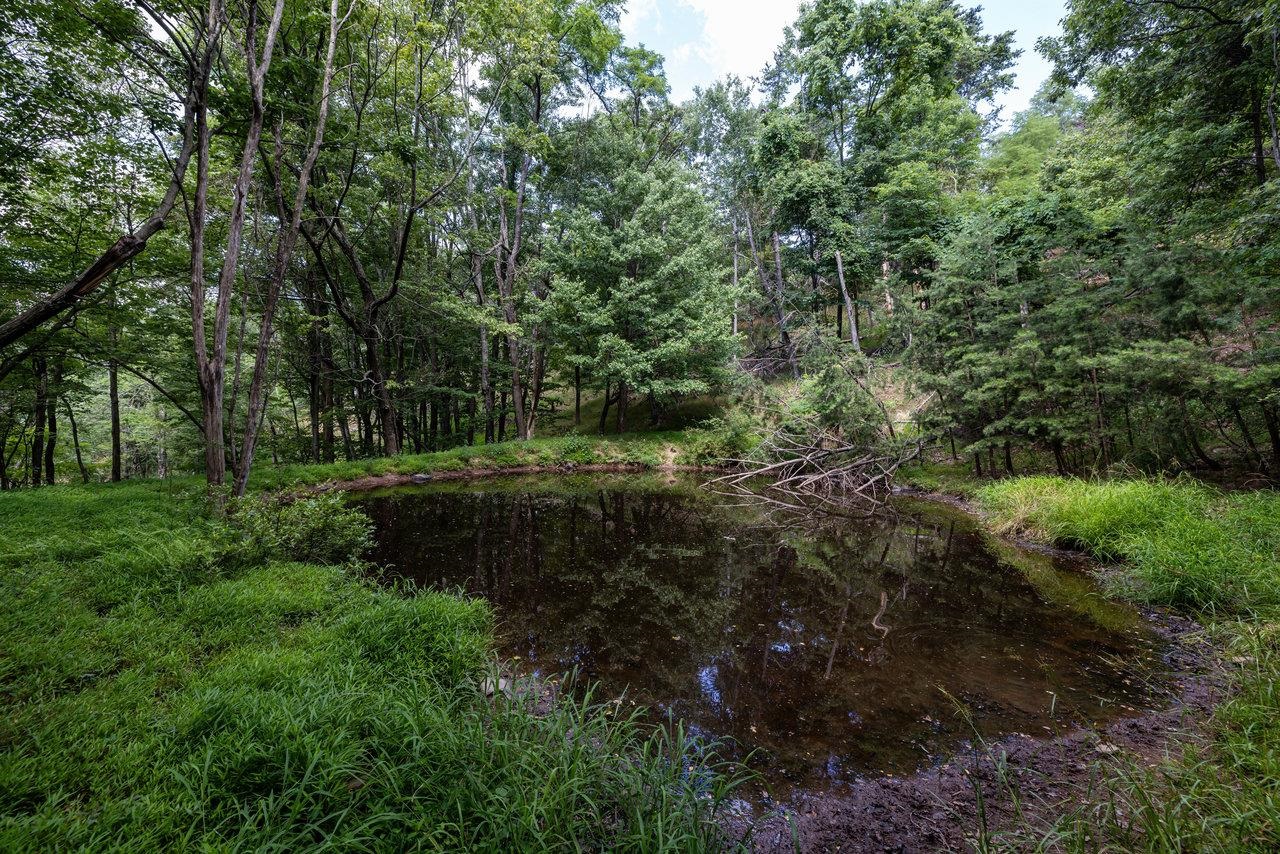 22590 CRIDERS RD, CRIDERS, Virginia 22820, ,Farm,14,22590 CRIDERS RD,654880 MLS # 654880