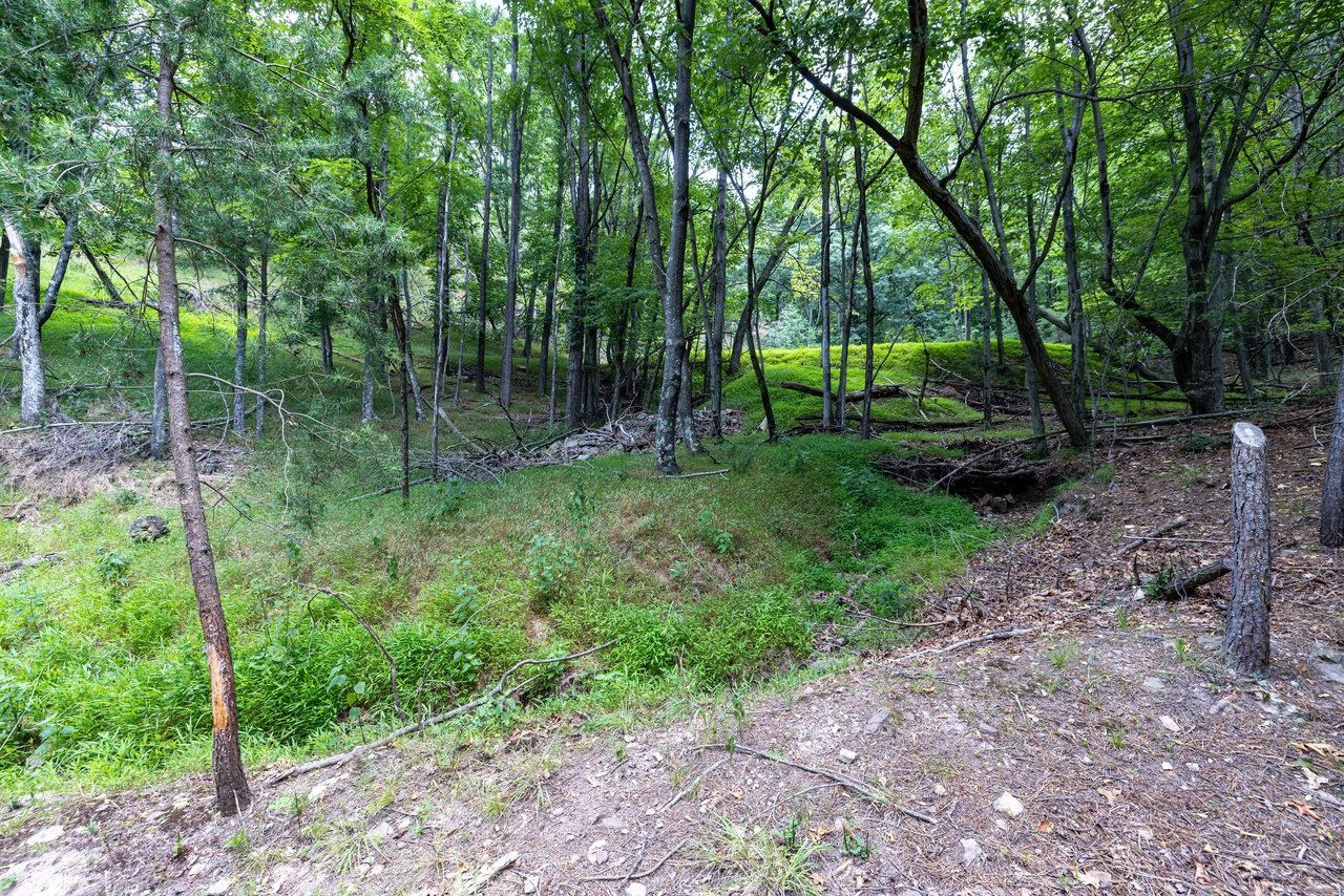 22590 CRIDERS RD, CRIDERS, Virginia 22820, ,Farm,14,22590 CRIDERS RD,654880 MLS # 654880