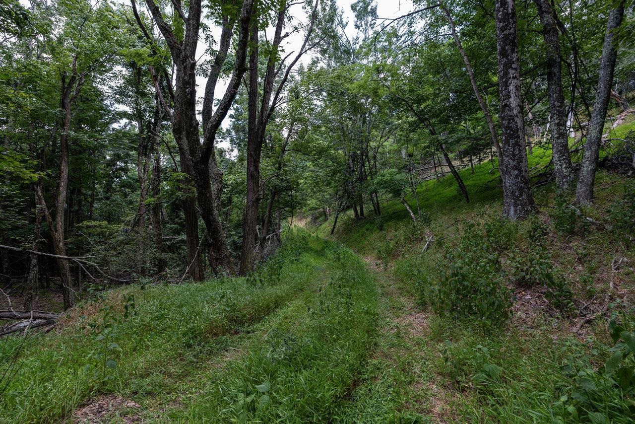 22590 CRIDERS RD, CRIDERS, Virginia 22820, ,Farm,14,22590 CRIDERS RD,654880 MLS # 654880