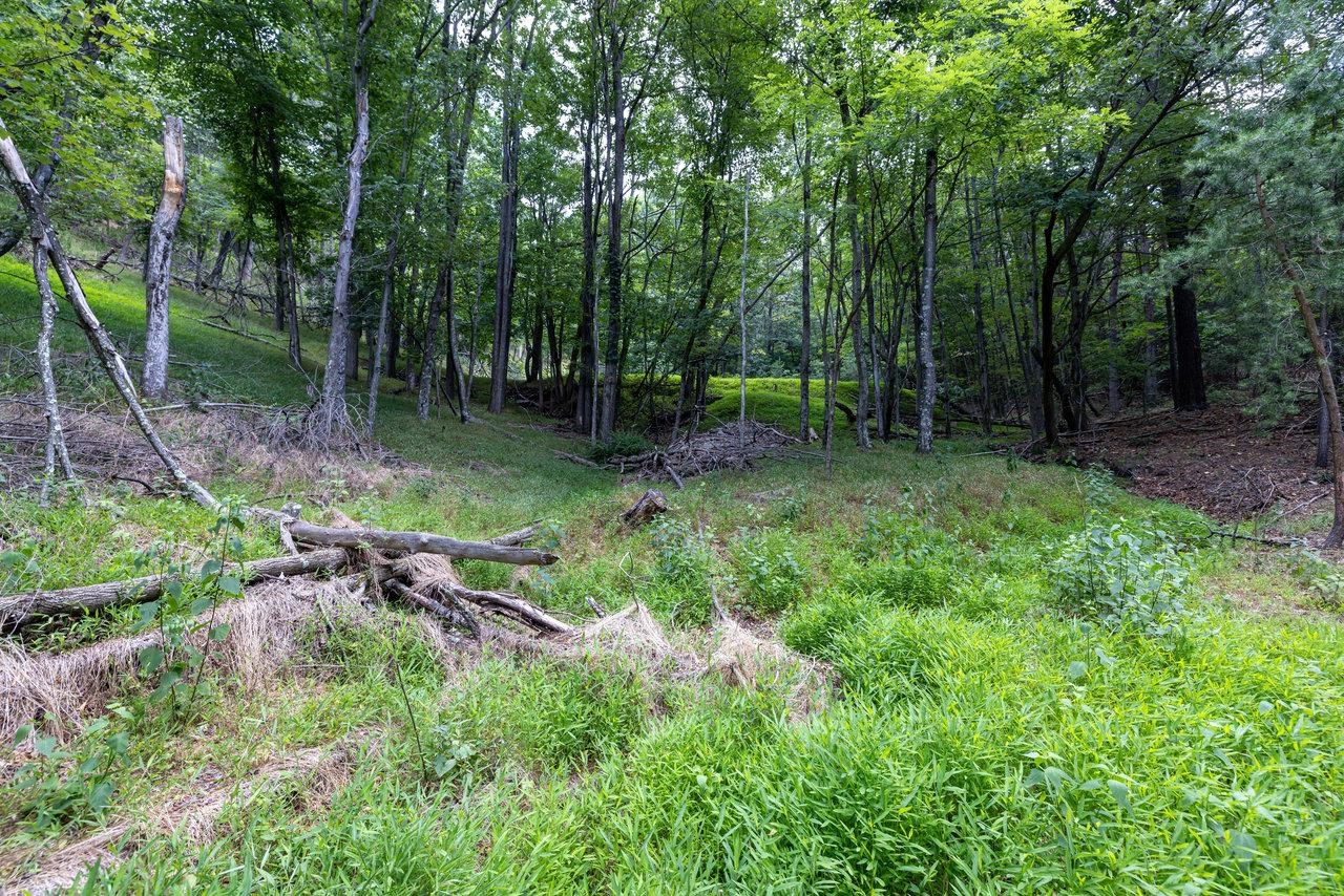 22590 CRIDERS RD, CRIDERS, Virginia 22820, ,Farm,14,22590 CRIDERS RD,654880 MLS # 654880