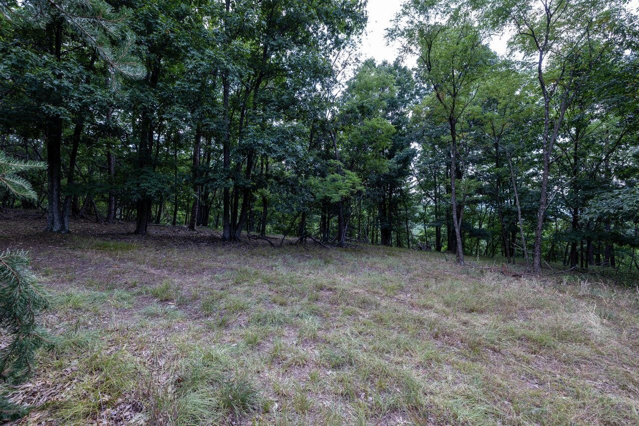 22590 CRIDERS RD, CRIDERS, Virginia 22820, ,Farm,14,22590 CRIDERS RD,654880 MLS # 654880