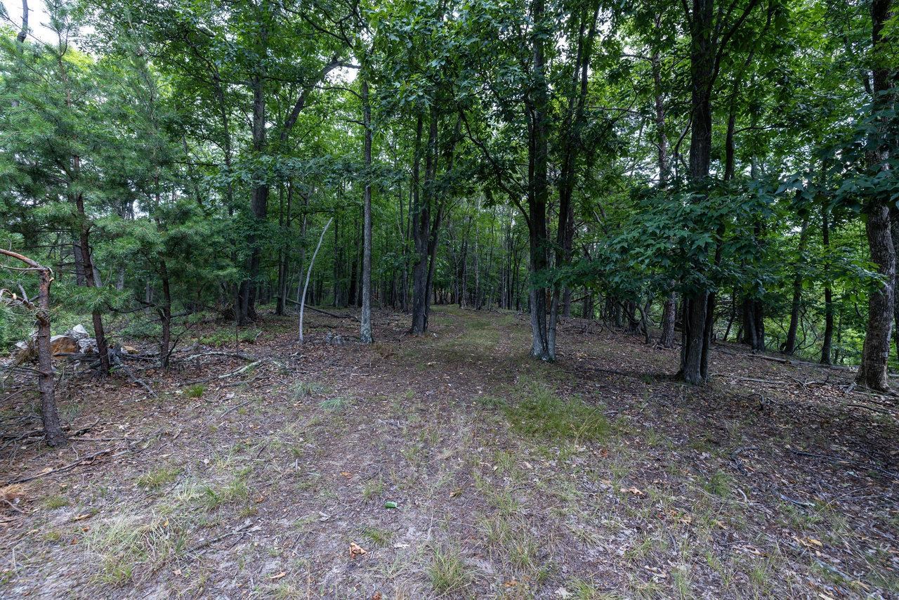 22590 CRIDERS RD, CRIDERS, Virginia 22820, ,Farm,14,22590 CRIDERS RD,654880 MLS # 654880