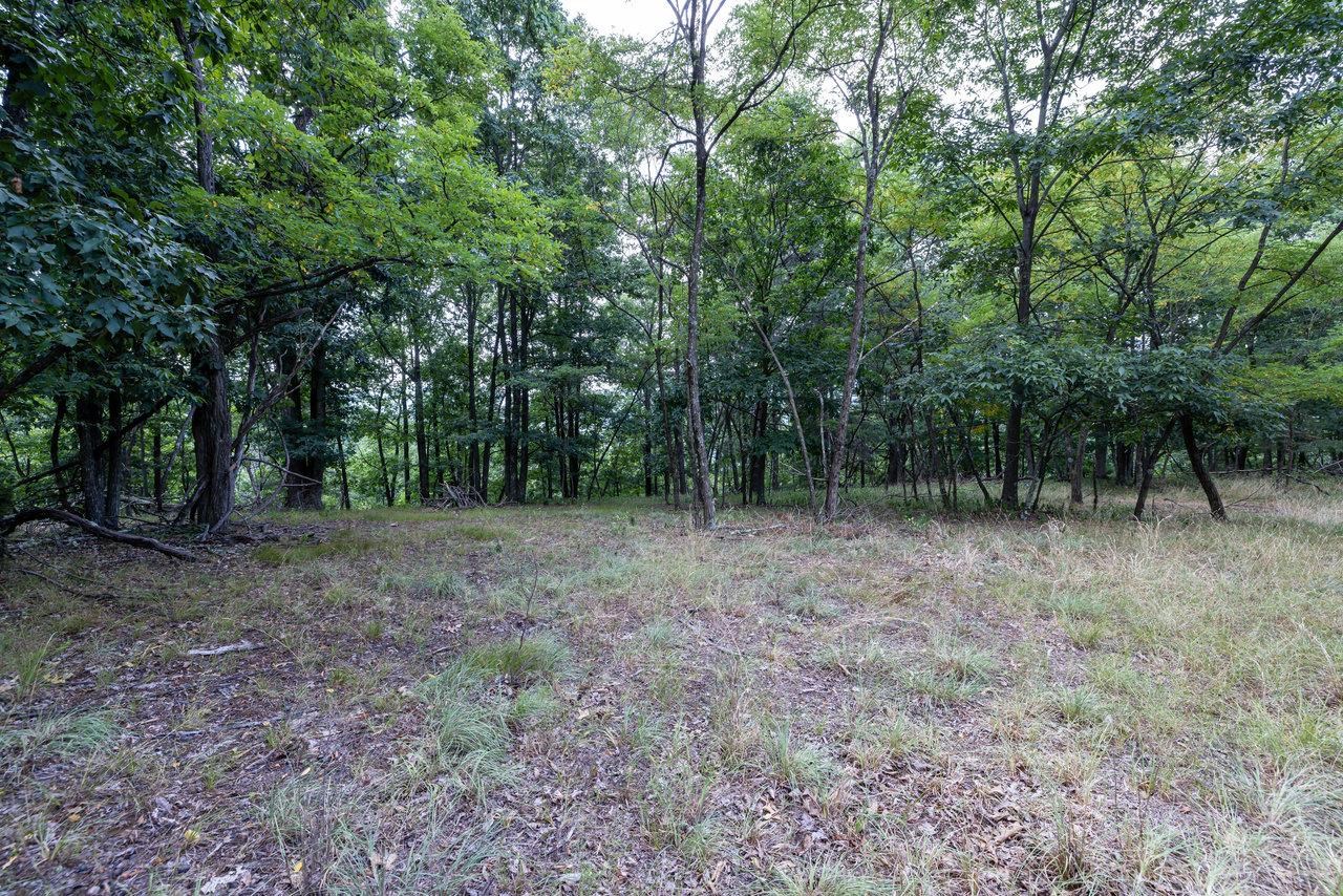22590 CRIDERS RD, CRIDERS, Virginia 22820, ,Farm,14,22590 CRIDERS RD,654880 MLS # 654880
