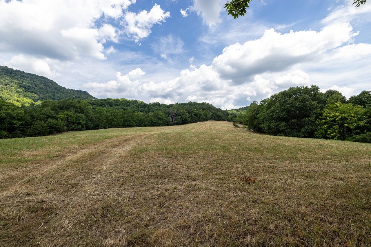 22590 CRIDERS RD, CRIDERS, Virginia 22820, ,Farm,14,22590 CRIDERS RD,654880 MLS # 654880