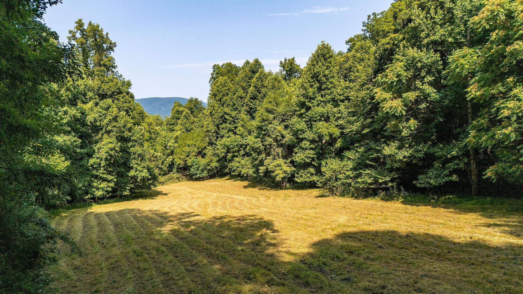 2476 ENNIS MOUNTAIN RD, AFTON, Virginia 22920, ,Farm,14,2476 ENNIS MOUNTAIN RD,655508 MLS # 655508