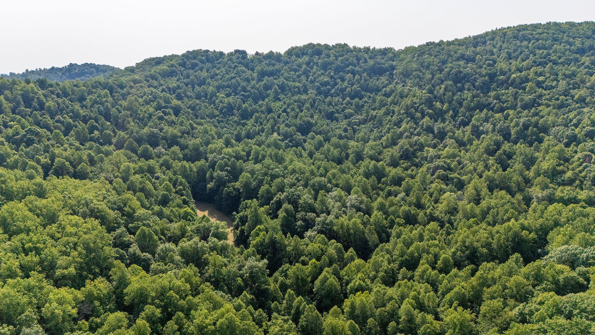 2476 ENNIS MOUNTAIN RD, AFTON, Virginia 22920, ,Farm,14,2476 ENNIS MOUNTAIN RD,655508 MLS # 655508