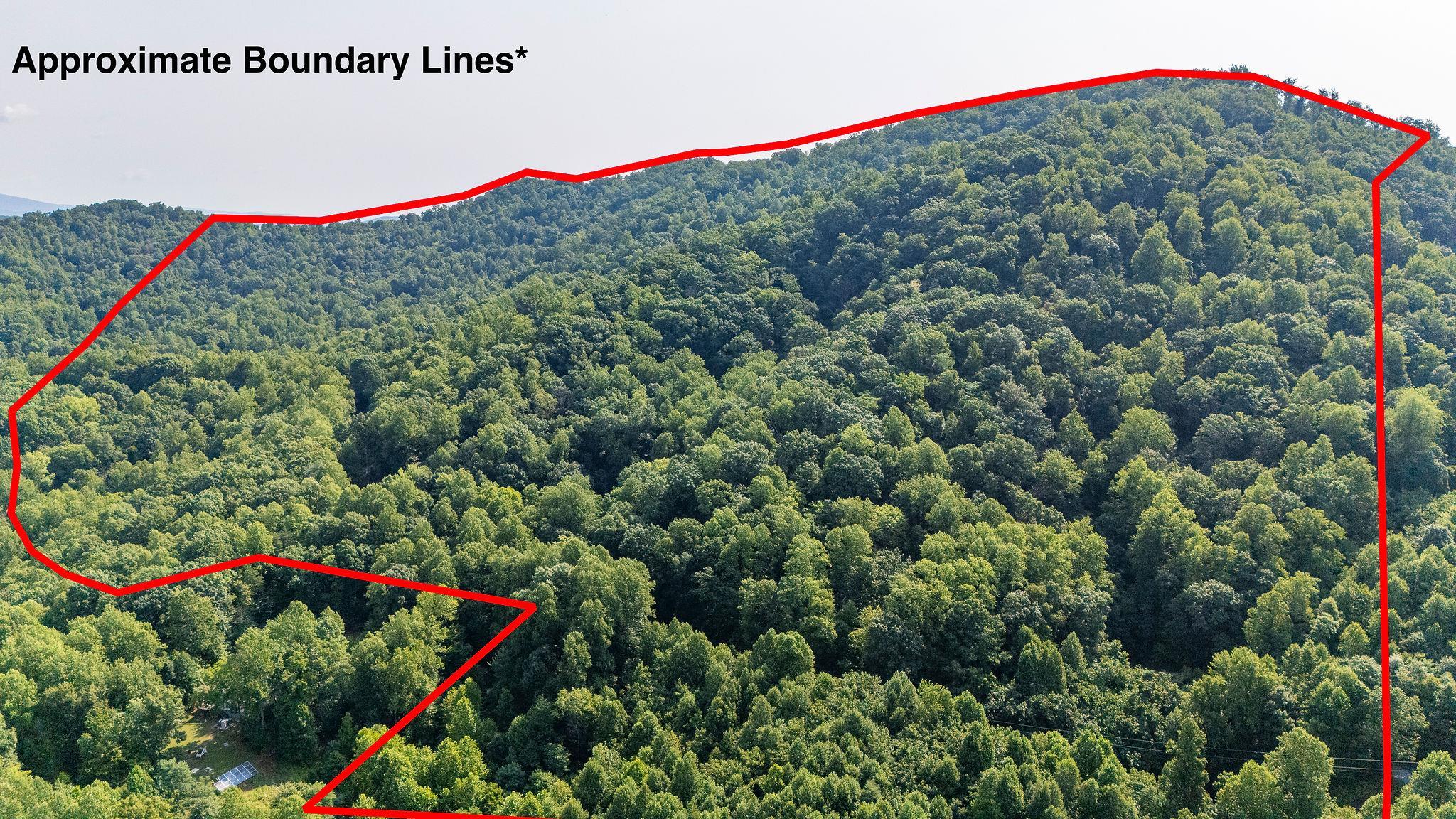 2476 ENNIS MOUNTAIN RD, AFTON, Virginia 22920, ,Farm,14,2476 ENNIS MOUNTAIN RD,655508 MLS # 655508