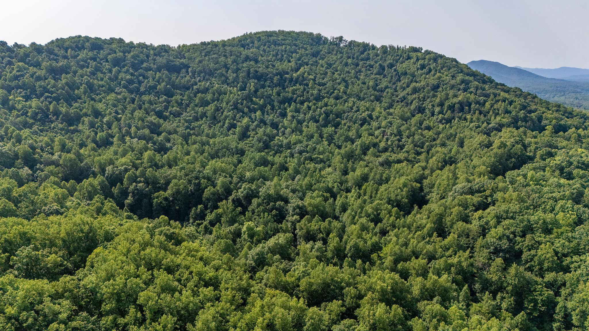 2476 ENNIS MOUNTAIN RD, AFTON, Virginia 22920, ,Farm,14,2476 ENNIS MOUNTAIN RD,655508 MLS # 655508