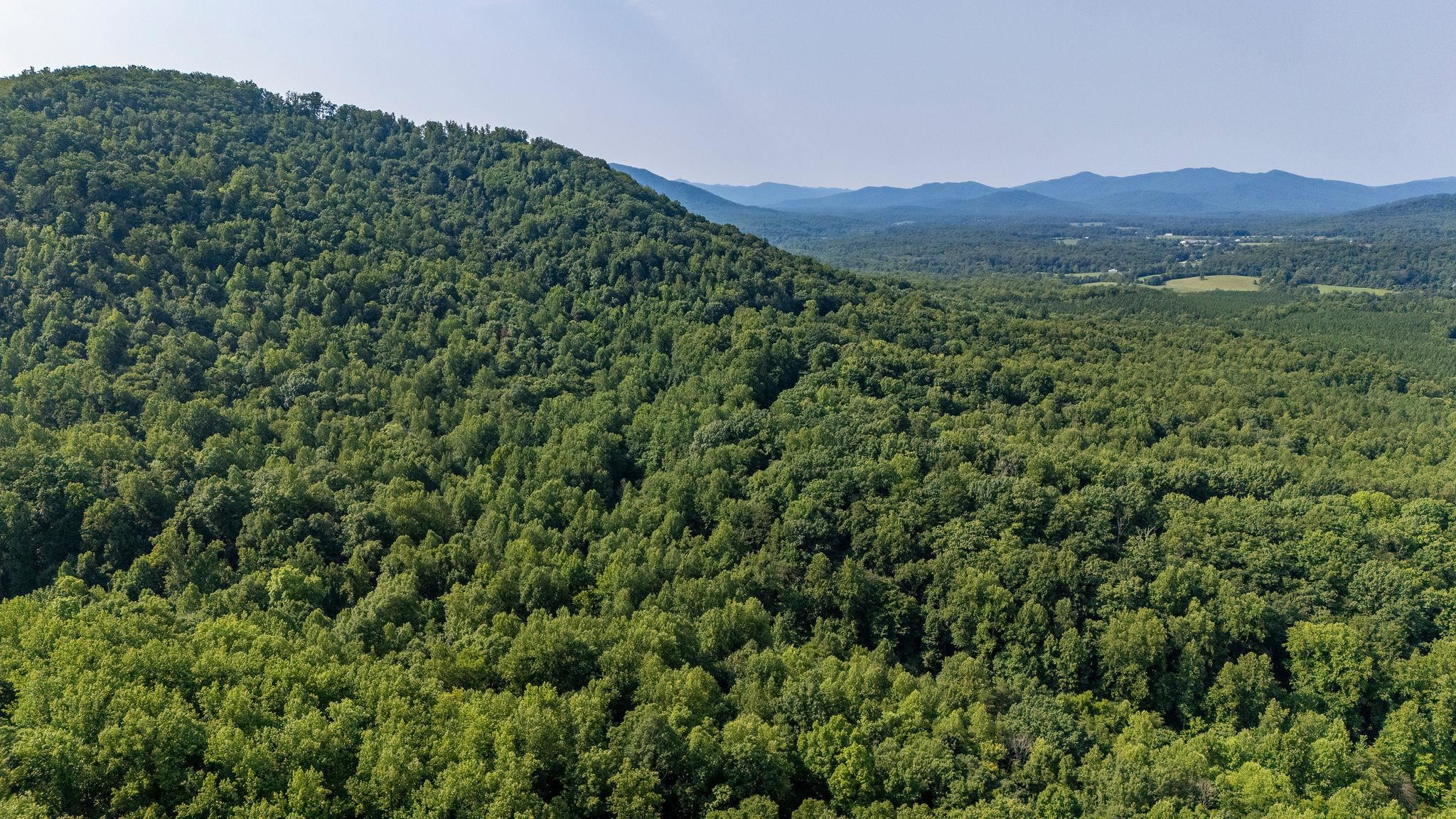 2476 ENNIS MOUNTAIN RD, AFTON, Virginia 22920, ,Farm,14,2476 ENNIS MOUNTAIN RD,655508 MLS # 655508