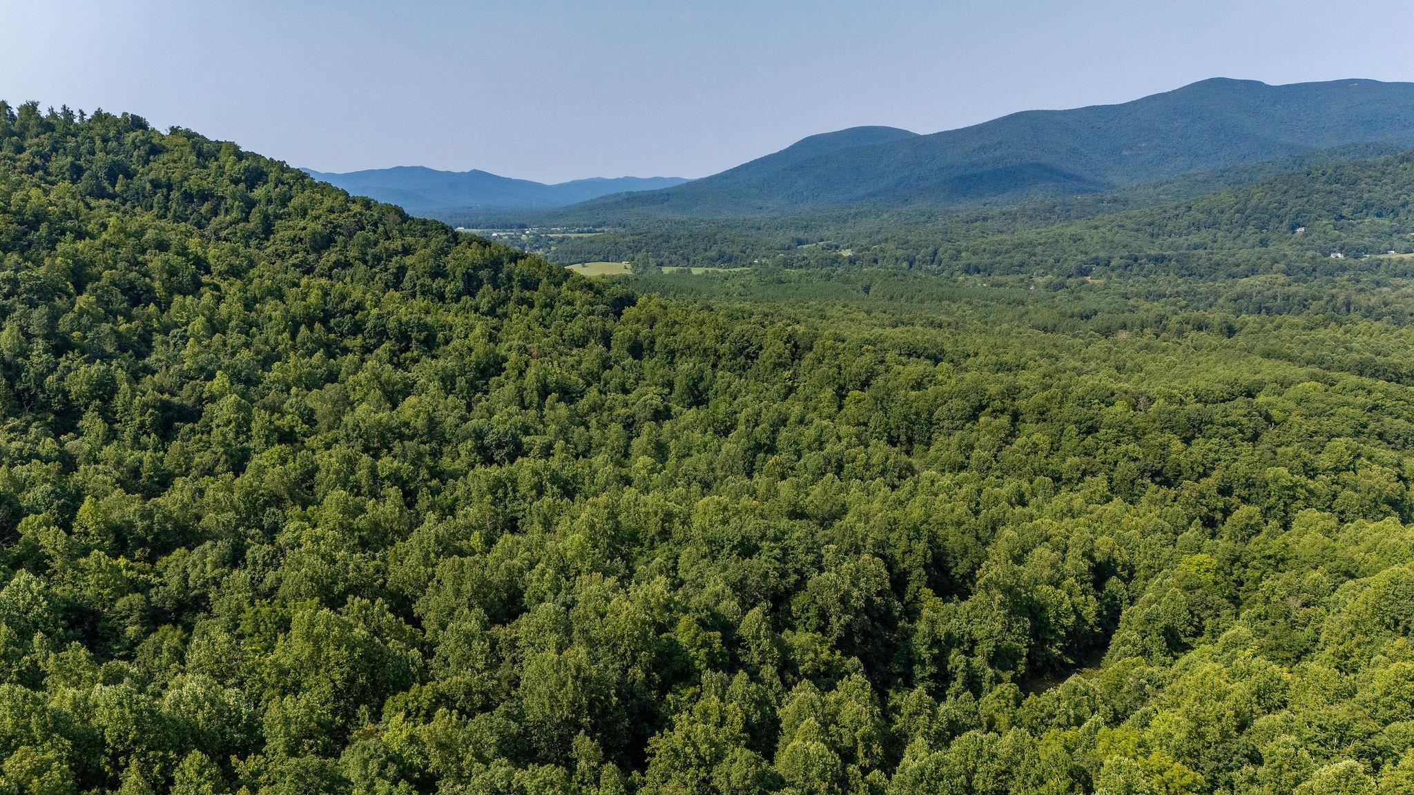 2476 ENNIS MOUNTAIN RD, AFTON, Virginia 22920, ,Farm,14,2476 ENNIS MOUNTAIN RD,655508 MLS # 655508