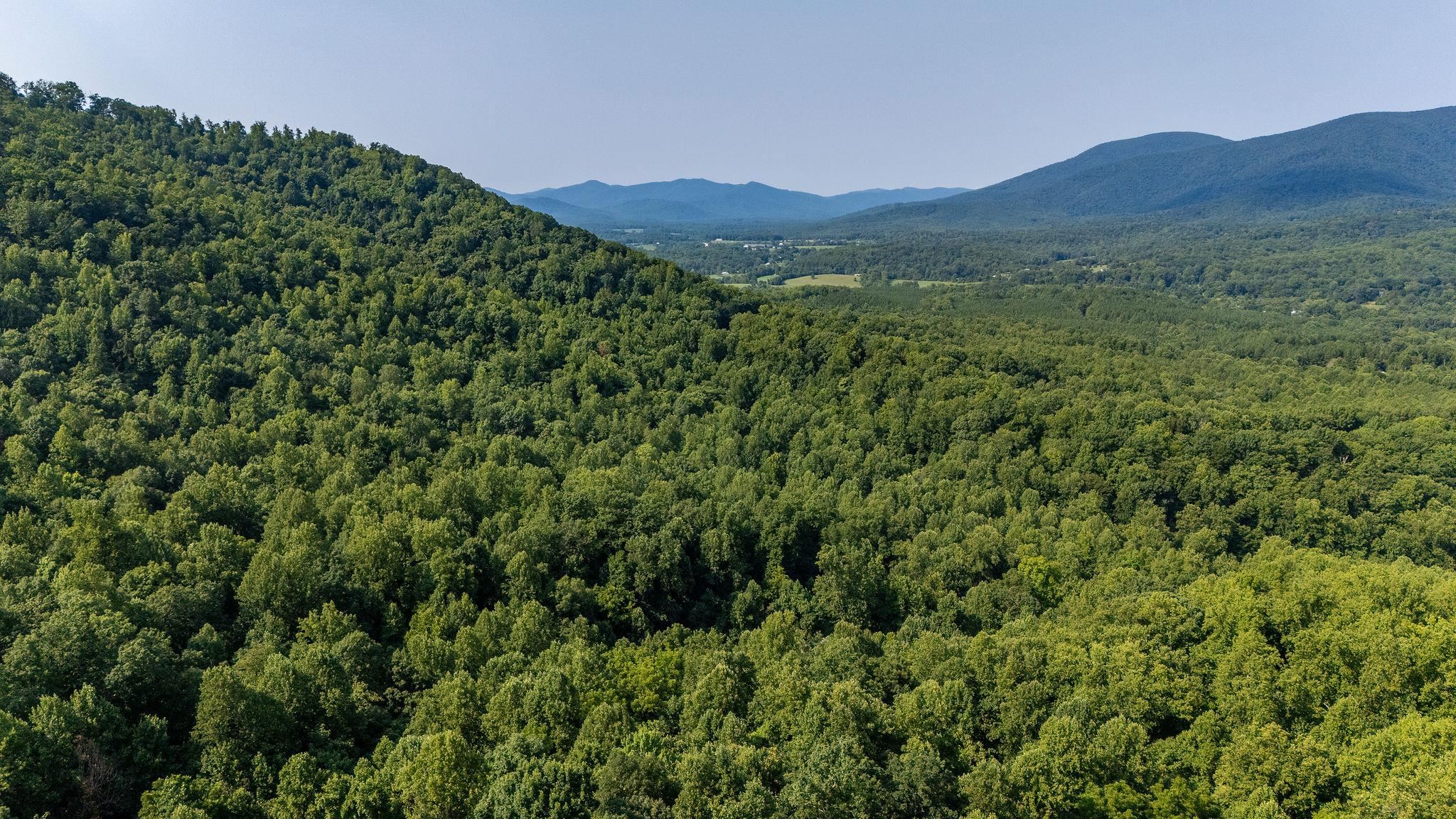 2476 ENNIS MOUNTAIN RD, AFTON, Virginia 22920, ,Farm,14,2476 ENNIS MOUNTAIN RD,655508 MLS # 655508