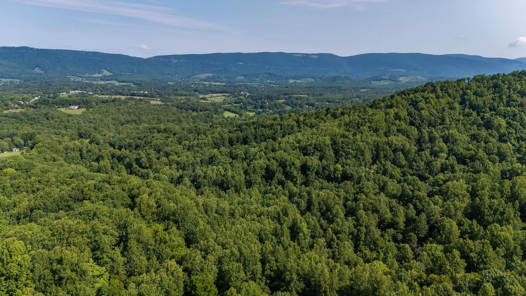 2476 ENNIS MOUNTAIN RD, AFTON, Virginia 22920, ,Farm,14,2476 ENNIS MOUNTAIN RD,655508 MLS # 655508