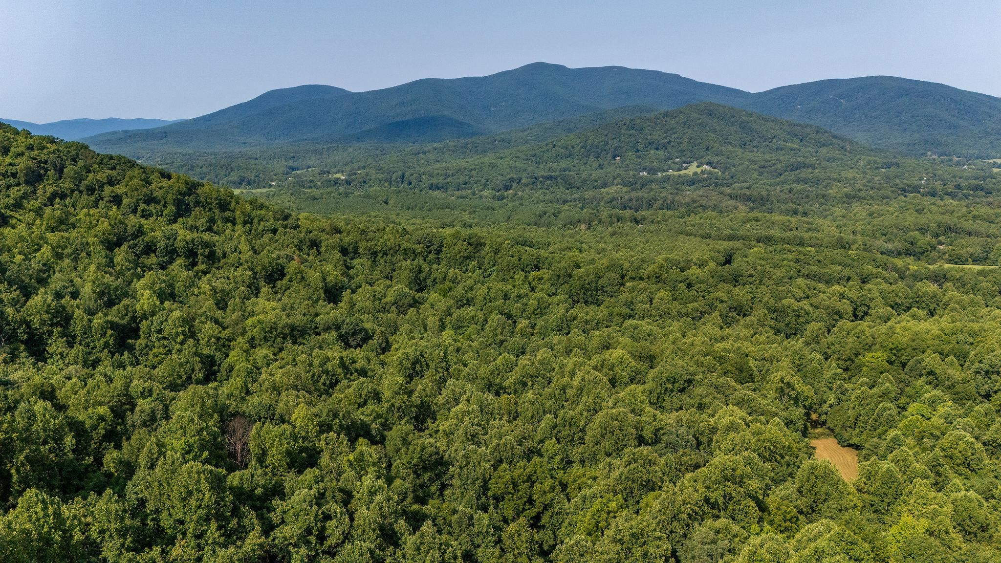 2476 ENNIS MOUNTAIN RD, AFTON, Virginia 22920, ,Farm,14,2476 ENNIS MOUNTAIN RD,655508 MLS # 655508