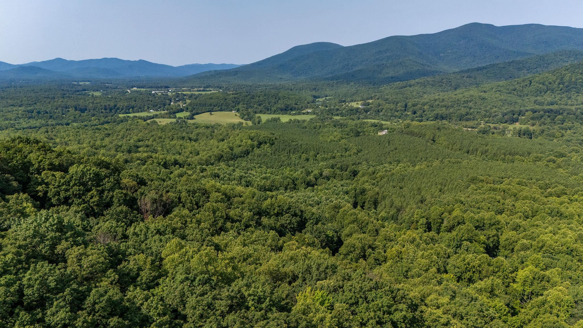 2476 ENNIS MOUNTAIN RD, AFTON, Virginia 22920, ,Farm,14,2476 ENNIS MOUNTAIN RD,655508 MLS # 655508