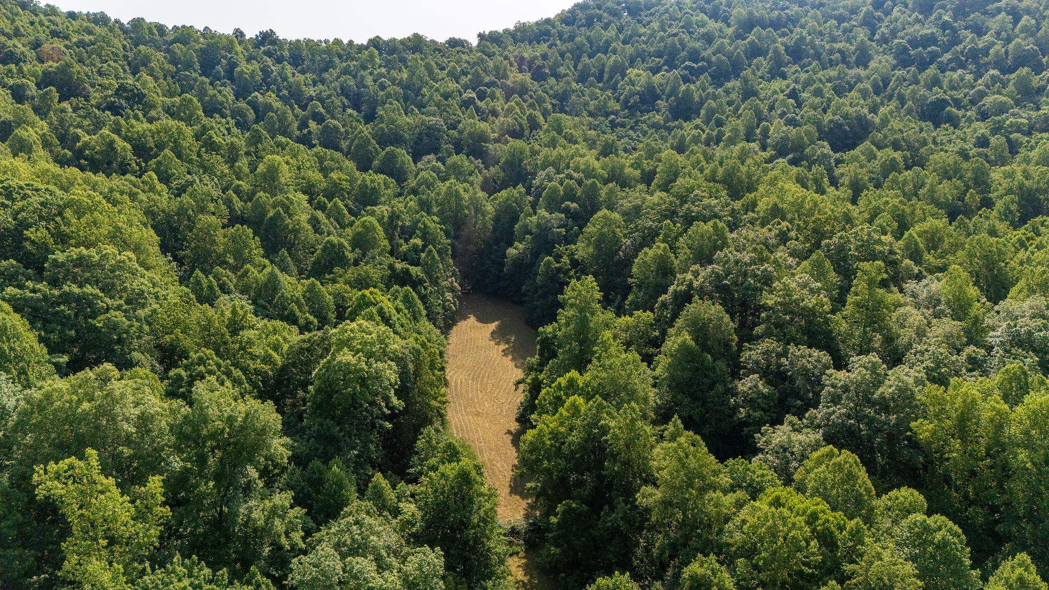 2476 ENNIS MOUNTAIN RD, AFTON, Virginia 22920, ,Farm,14,2476 ENNIS MOUNTAIN RD,655508 MLS # 655508