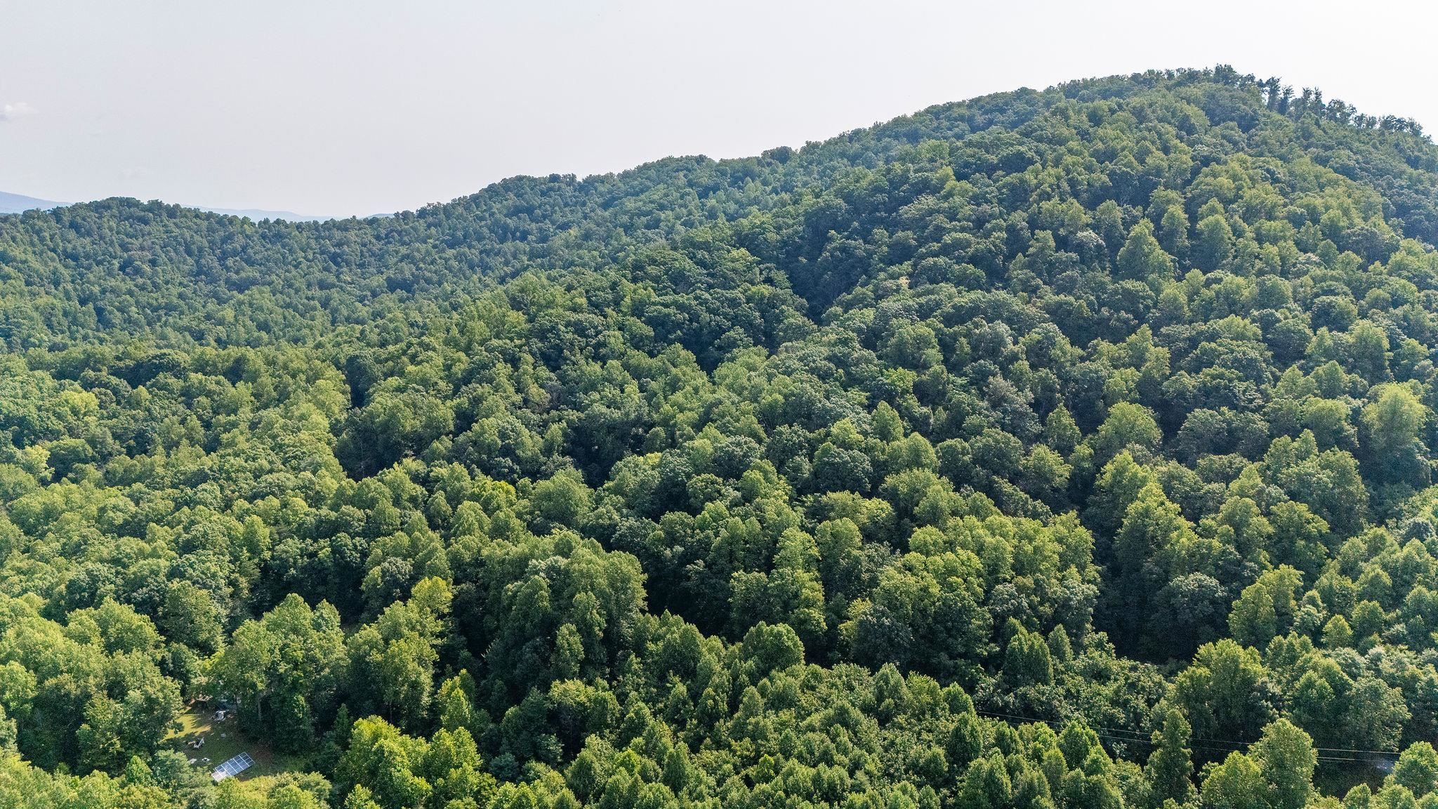 2476 ENNIS MOUNTAIN RD, AFTON, Virginia 22920, ,Farm,14,2476 ENNIS MOUNTAIN RD,655508 MLS # 655508