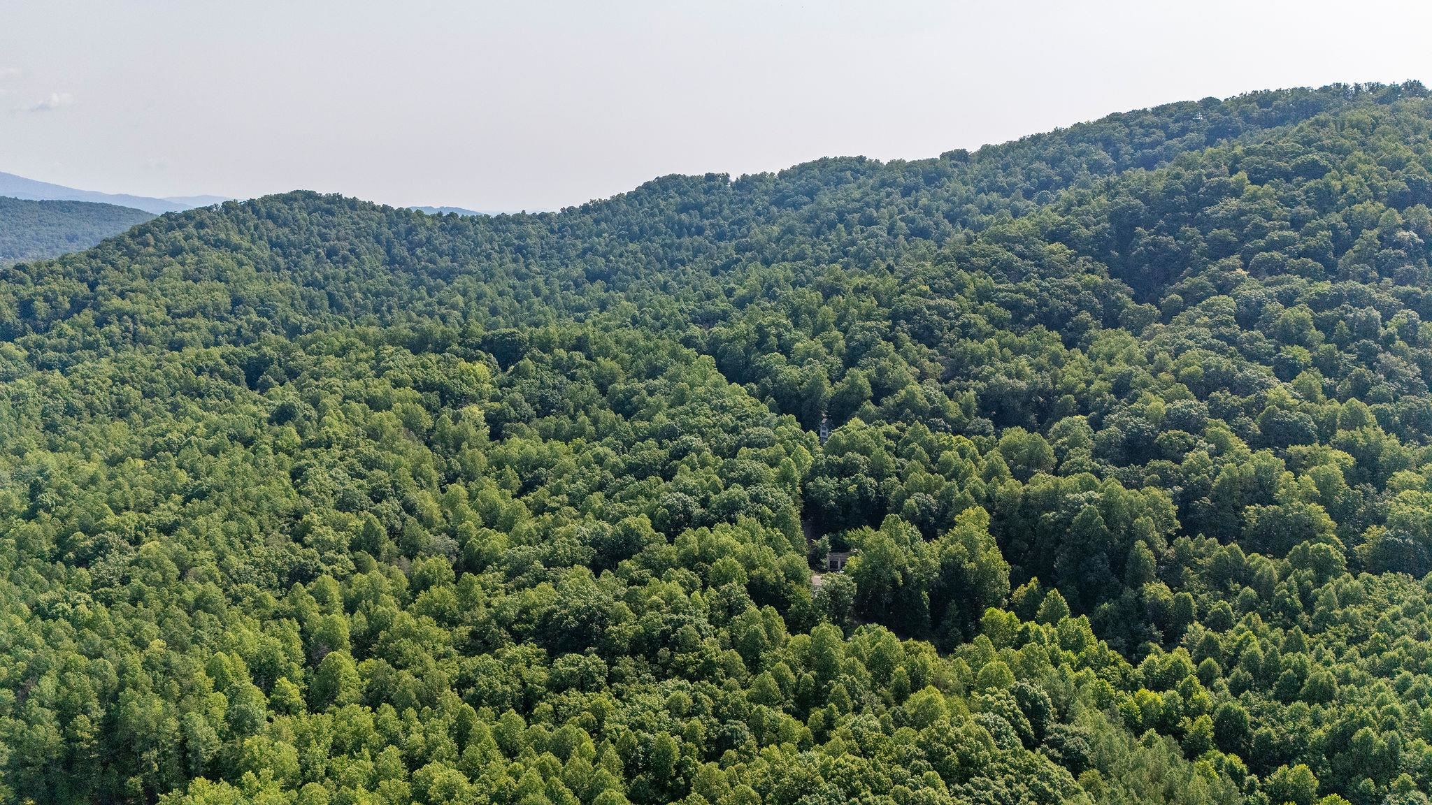 2476 ENNIS MOUNTAIN RD, AFTON, Virginia 22920, ,Farm,14,2476 ENNIS MOUNTAIN RD,655508 MLS # 655508