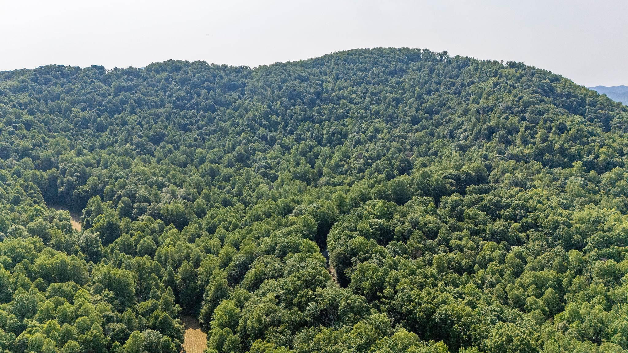 2476 ENNIS MOUNTAIN RD, AFTON, Virginia 22920, ,Farm,14,2476 ENNIS MOUNTAIN RD,655508 MLS # 655508