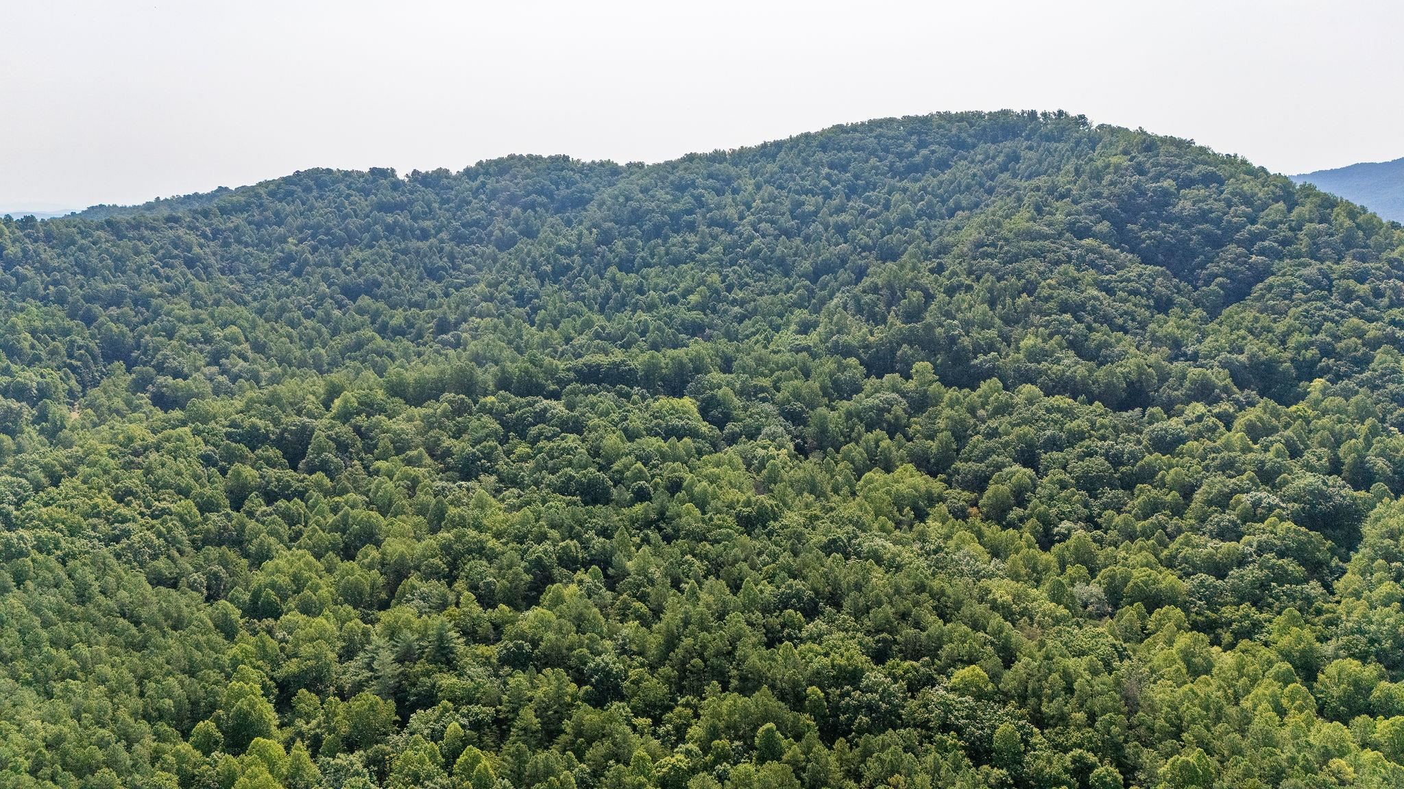 2476 ENNIS MOUNTAIN RD, AFTON, Virginia 22920, ,Farm,14,2476 ENNIS MOUNTAIN RD,655508 MLS # 655508