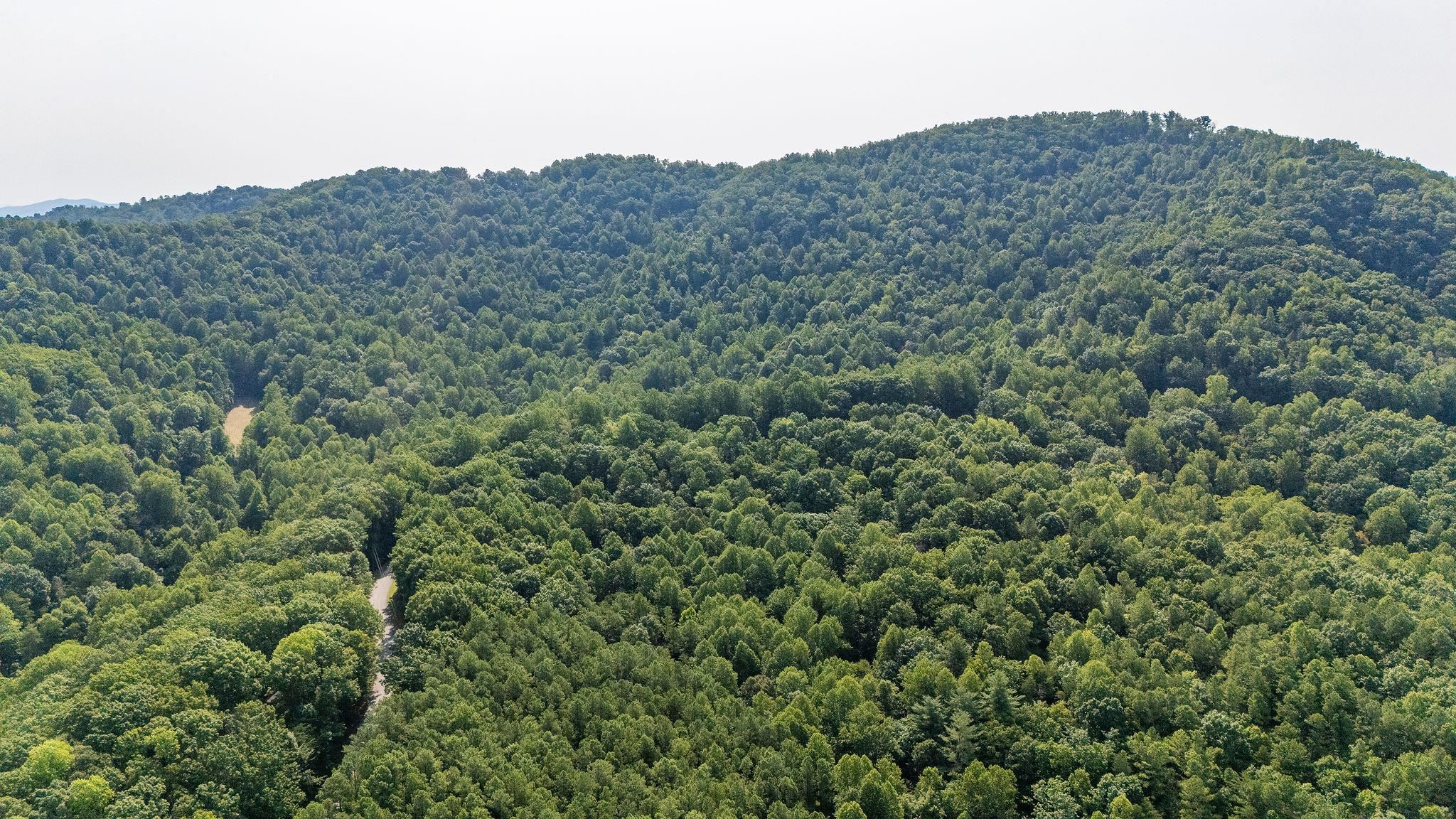 2476 ENNIS MOUNTAIN RD, AFTON, Virginia 22920, ,Farm,14,2476 ENNIS MOUNTAIN RD,655508 MLS # 655508