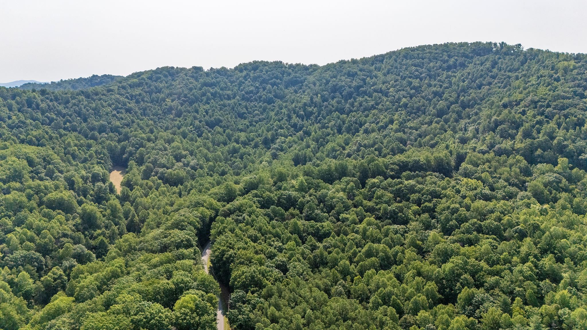 2476 ENNIS MOUNTAIN RD, AFTON, Virginia 22920, ,Farm,14,2476 ENNIS MOUNTAIN RD,655508 MLS # 655508