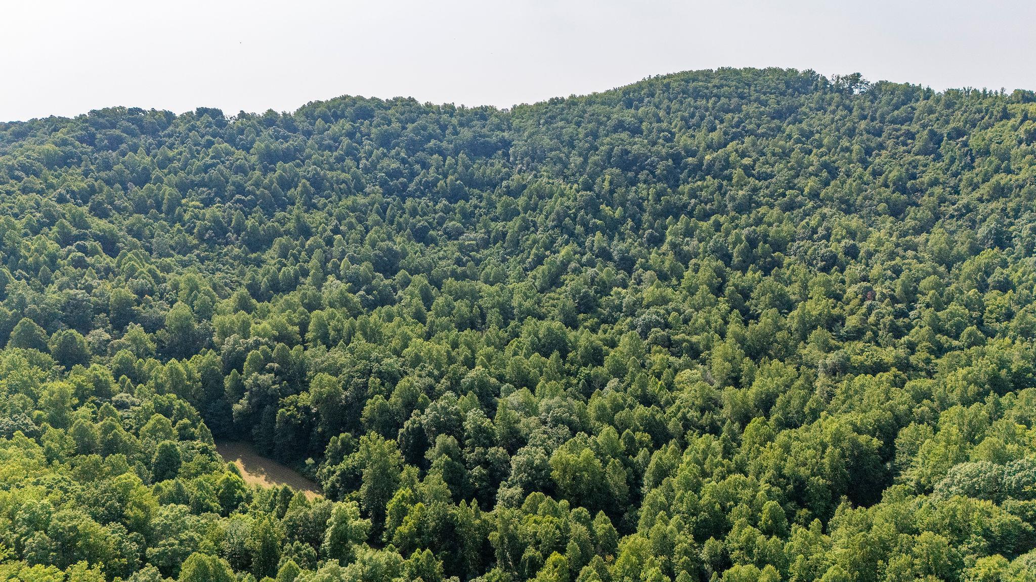 2476 ENNIS MOUNTAIN RD, AFTON, Virginia 22920, ,Farm,14,2476 ENNIS MOUNTAIN RD,655508 MLS # 655508