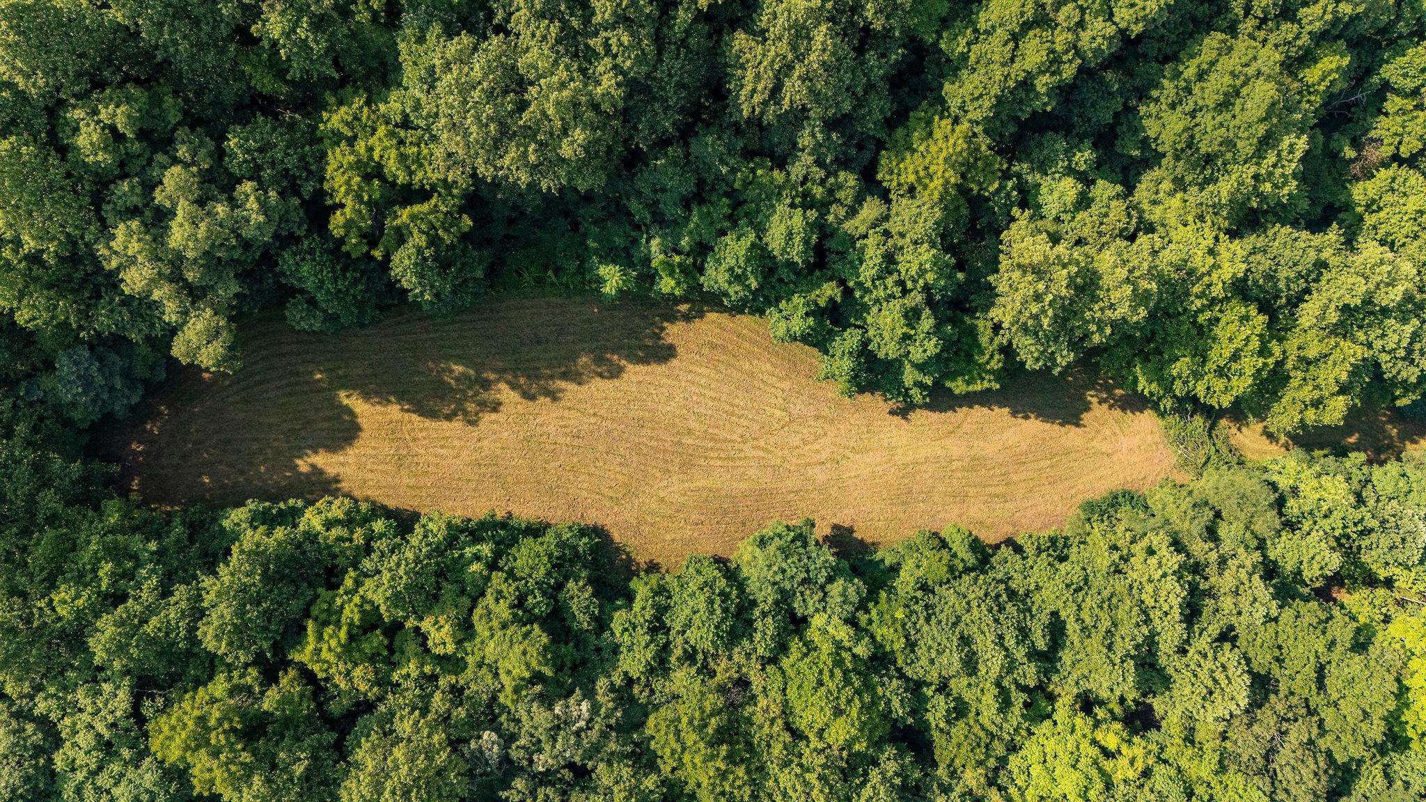 2476 ENNIS MOUNTAIN RD, AFTON, Virginia 22920, ,Farm,14,2476 ENNIS MOUNTAIN RD,655508 MLS # 655508