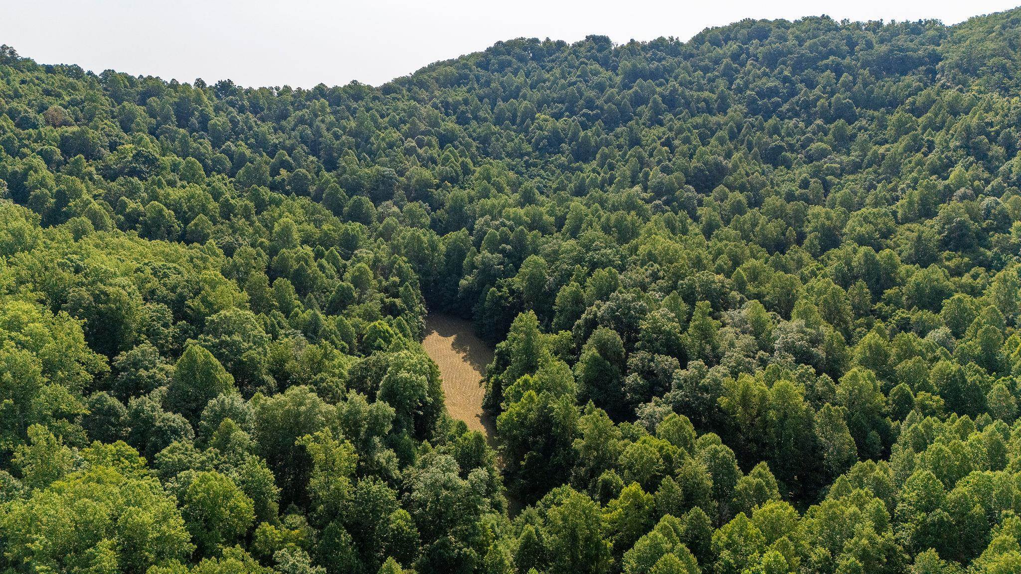 2476 ENNIS MOUNTAIN RD, AFTON, Virginia 22920, ,Farm,14,2476 ENNIS MOUNTAIN RD,655508 MLS # 655508